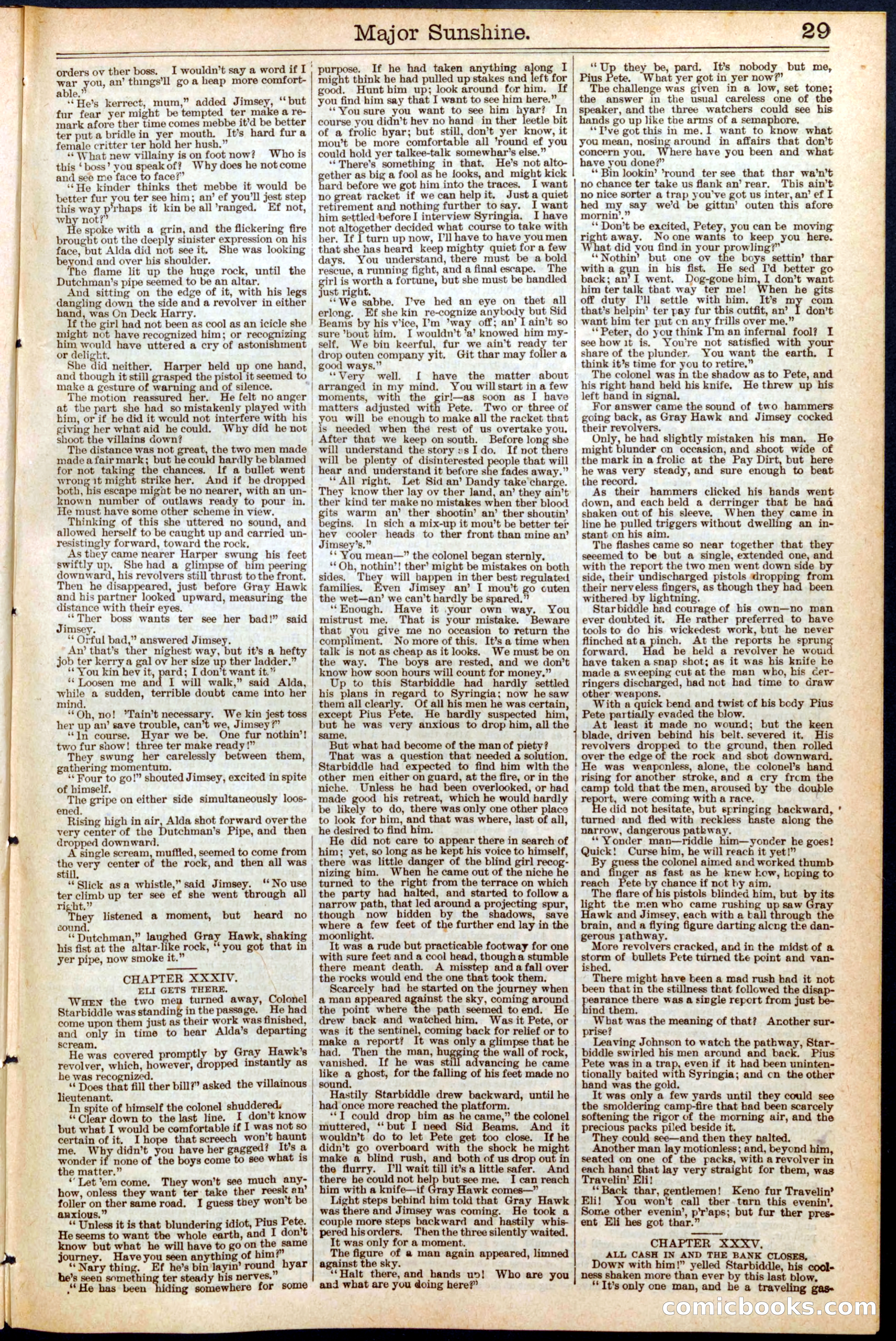 Beadle's New York Dime Library, No. 459 — page 29 of 32
