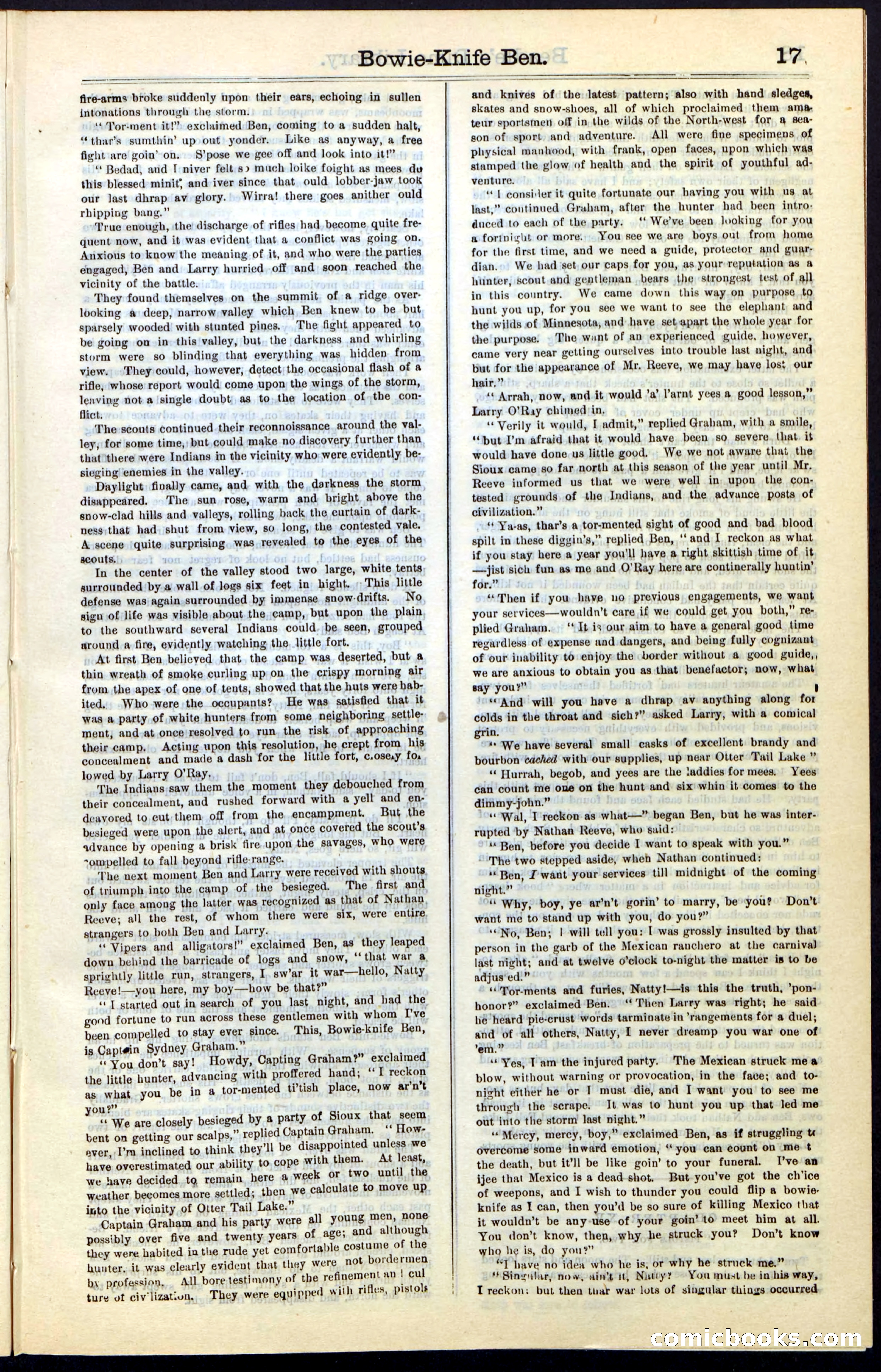 Beadle's New York Dime Library, Vol. IV, No. 46 — page 17 of 40