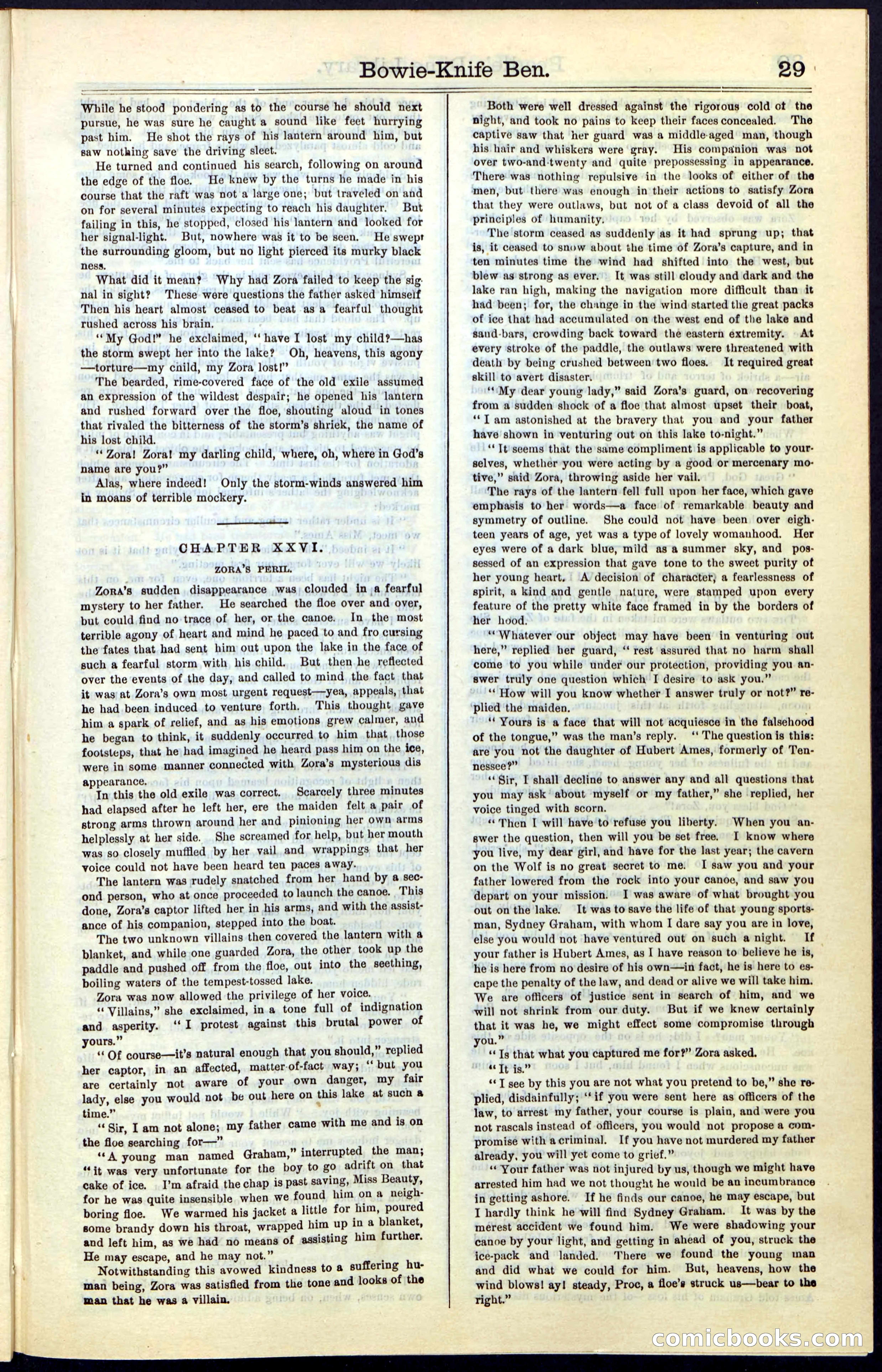 Beadle's New York Dime Library, Vol. IV, No. 46 — page 29 of 40