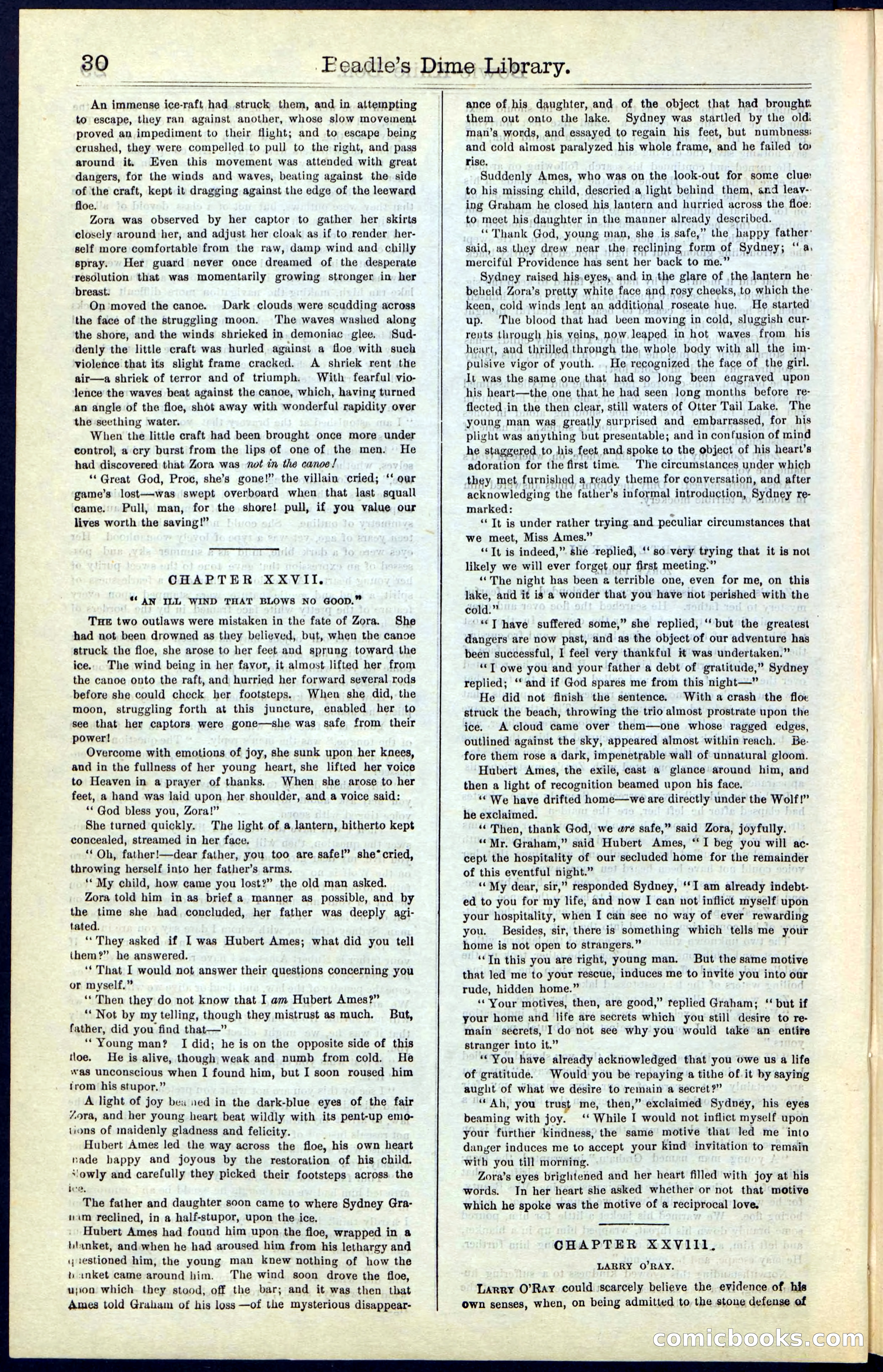 Beadle's New York Dime Library, Vol. IV, No. 46 — page 30 of 40
