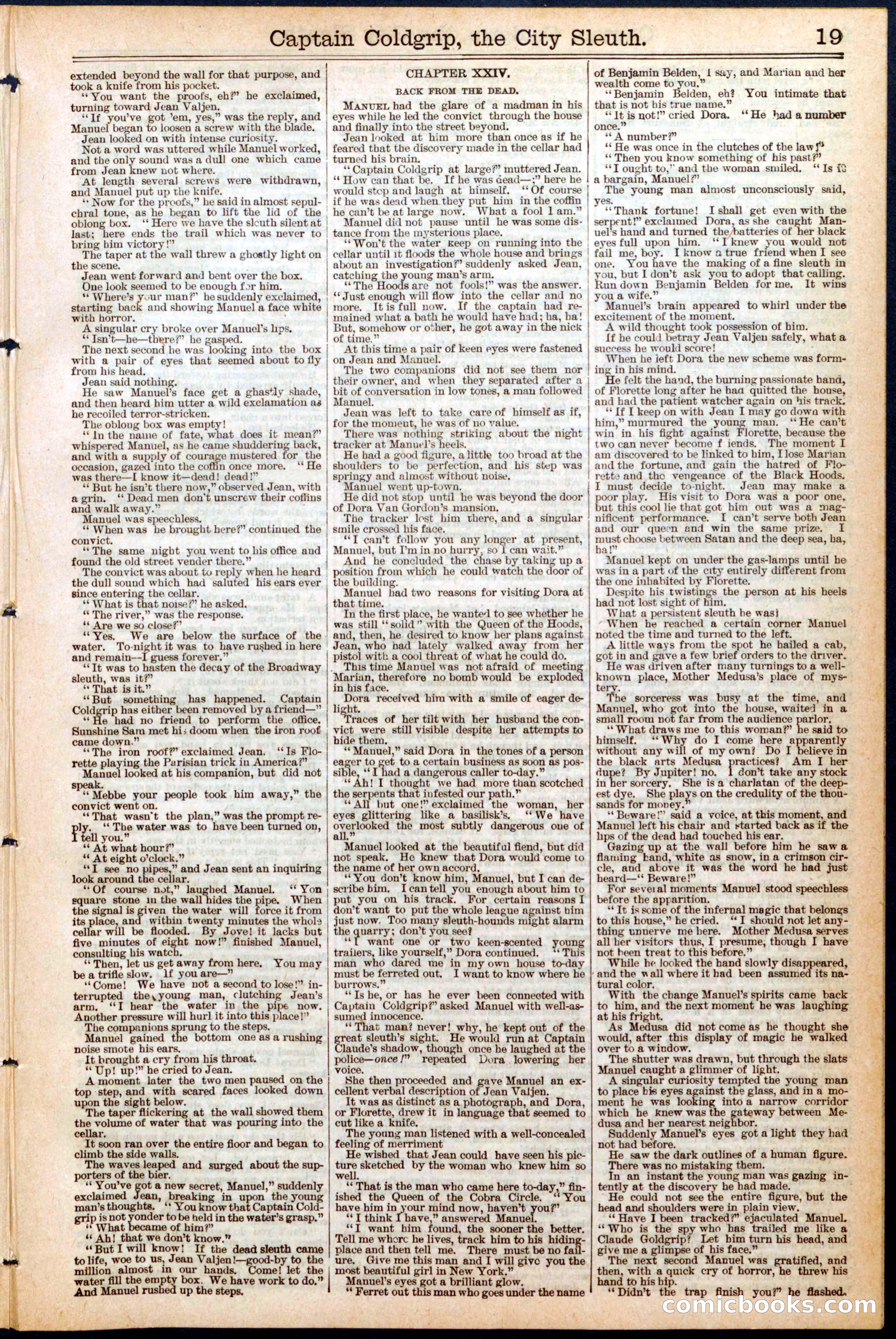 Beadle's New York Dime Library, No. 460 — page 19 of 32