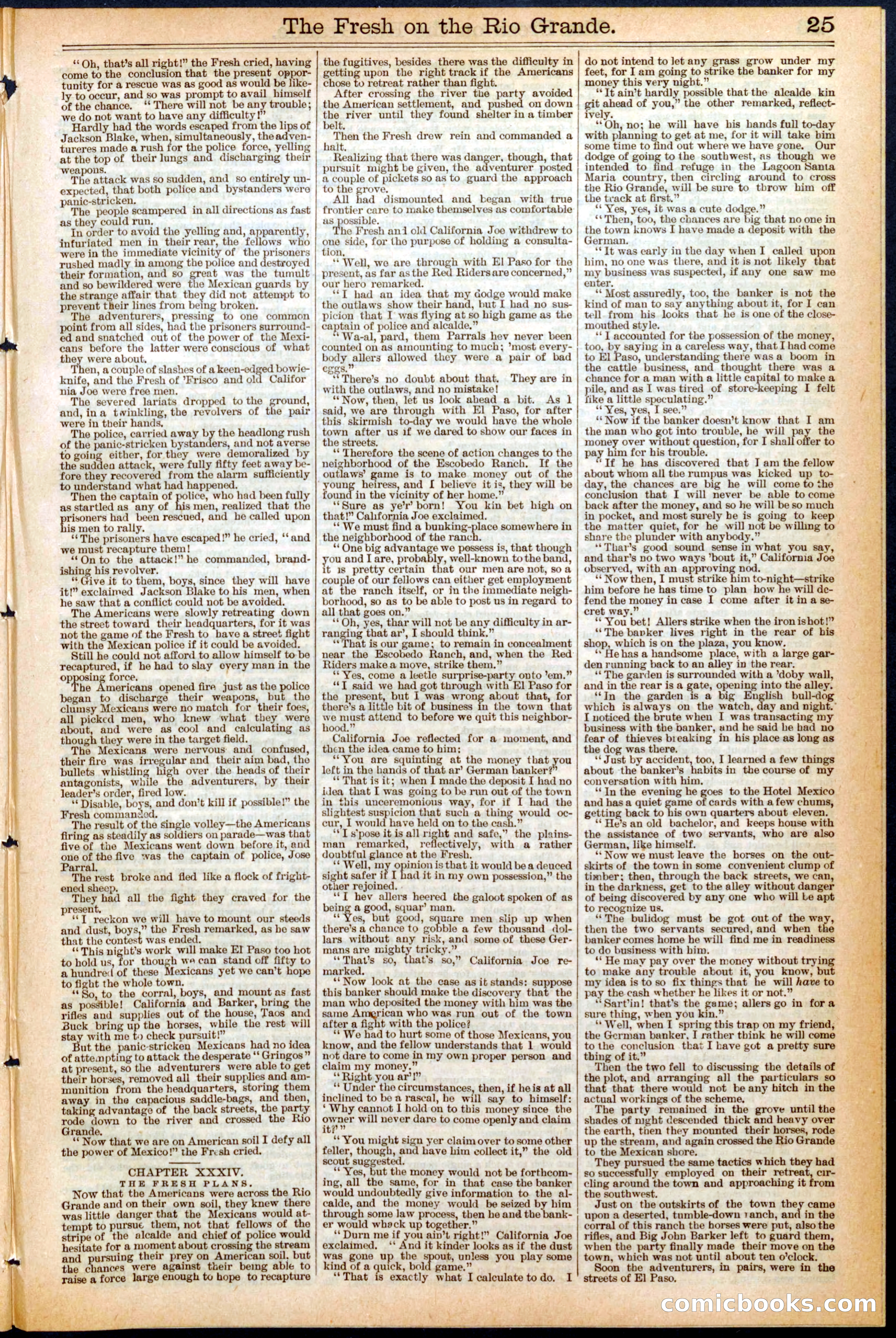 Beadle's New York Dime Library No. 461 — page 25 of 32