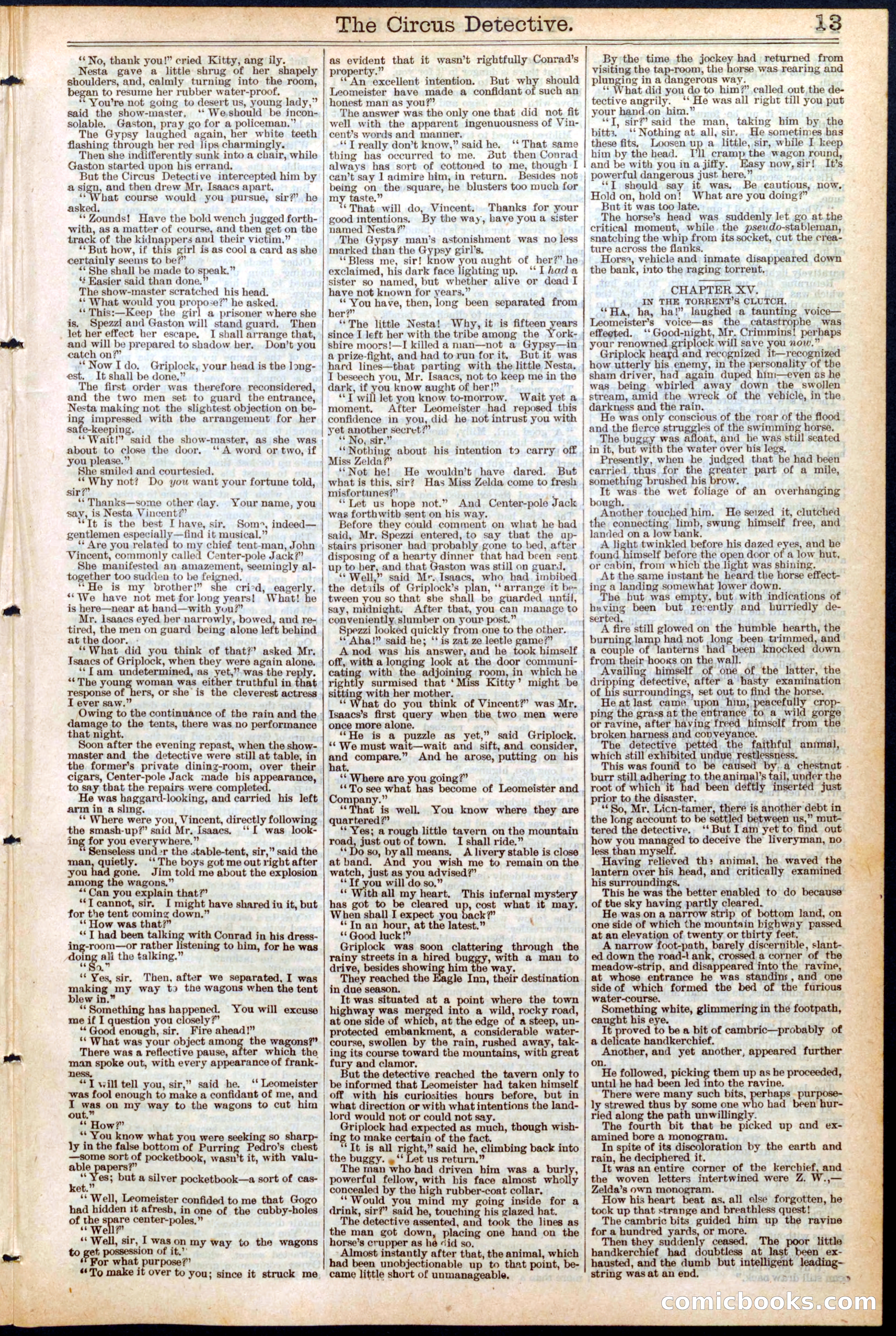 Beadle's New York Dime Library, No. 462 — page 13 of 32
