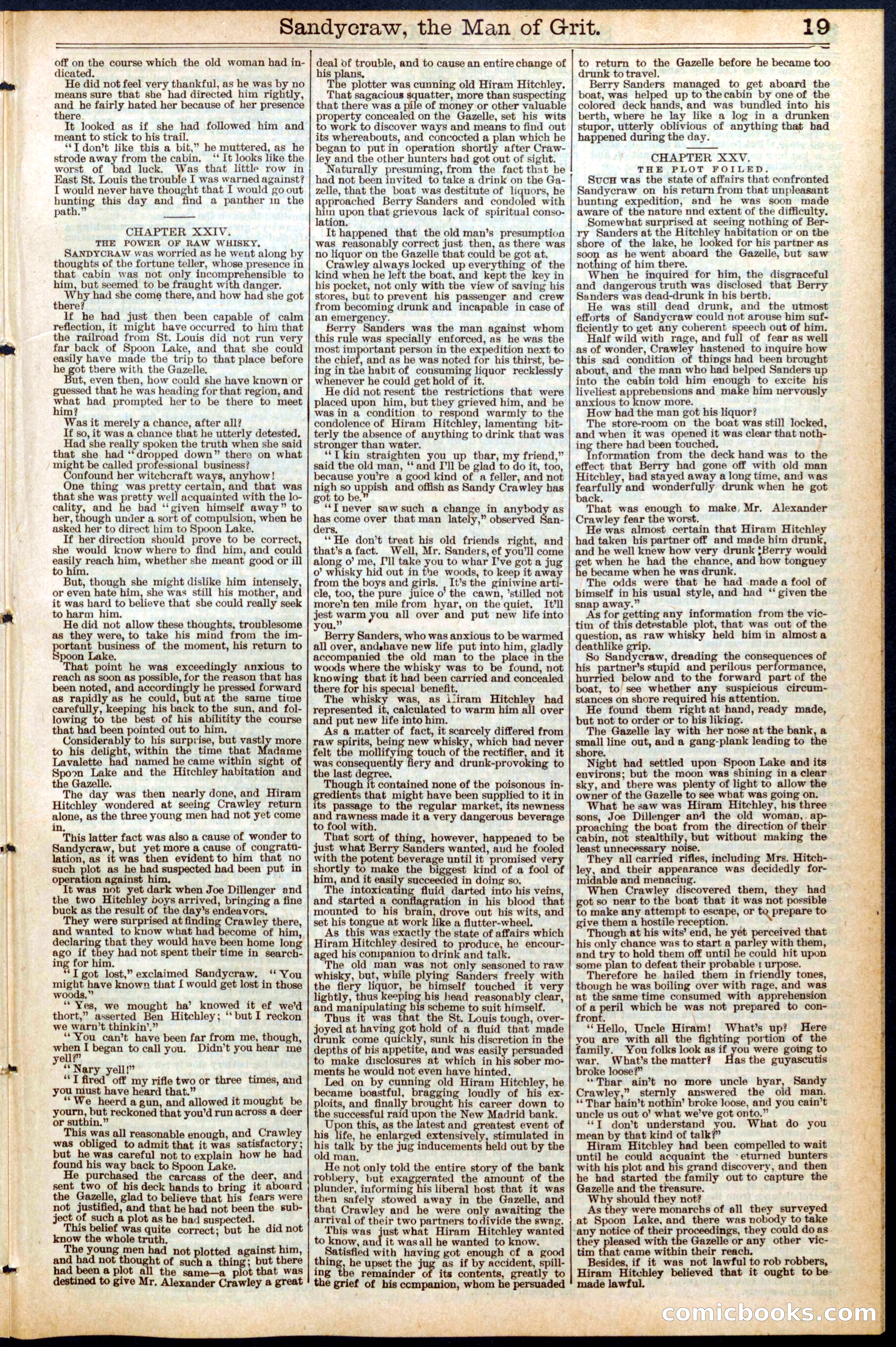 Beadle's New York Dime Library, No. 464 — page 19 of 32
