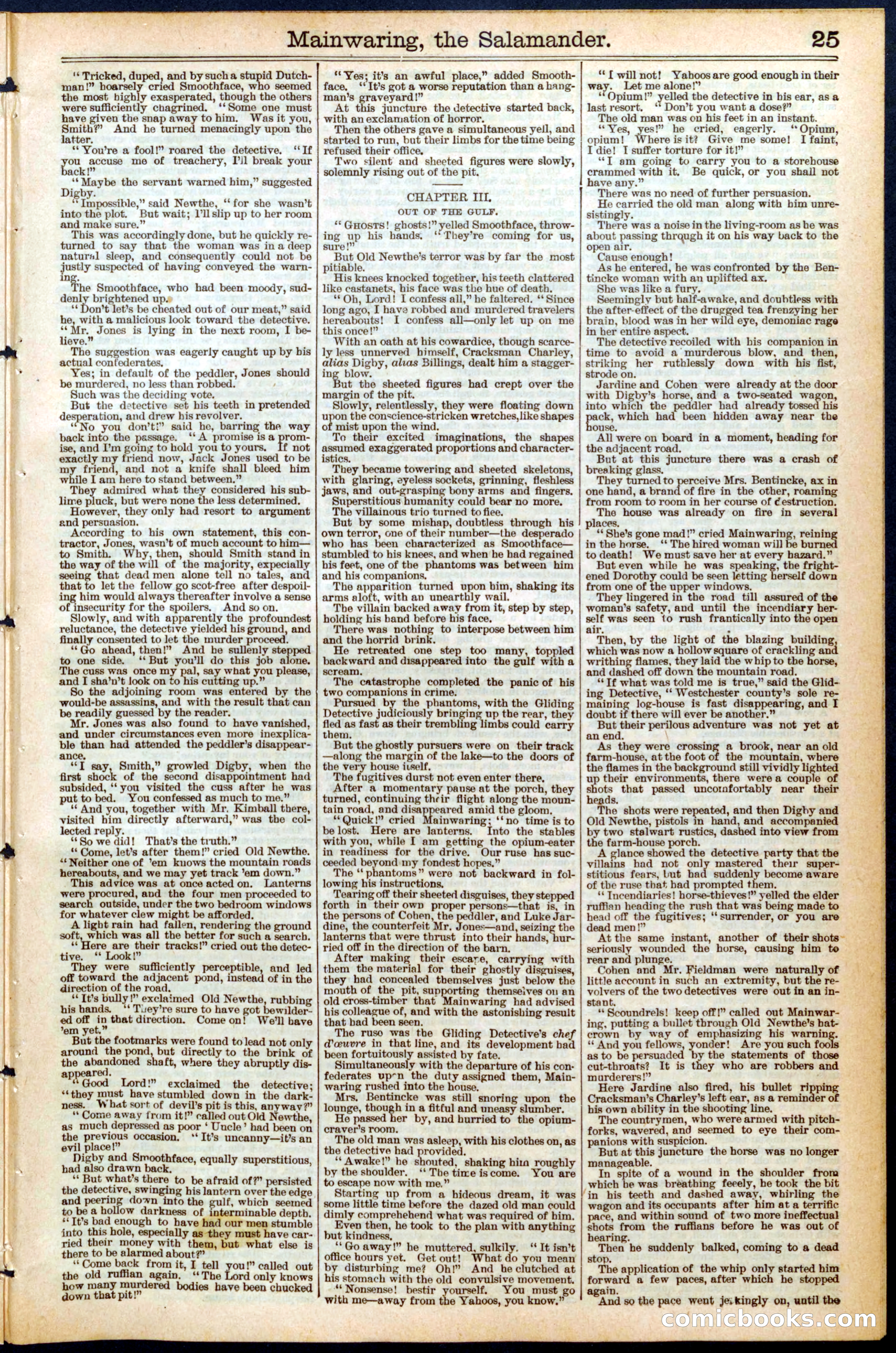 Beadle's New York Dime Library, No. 467 — page 25 of 32