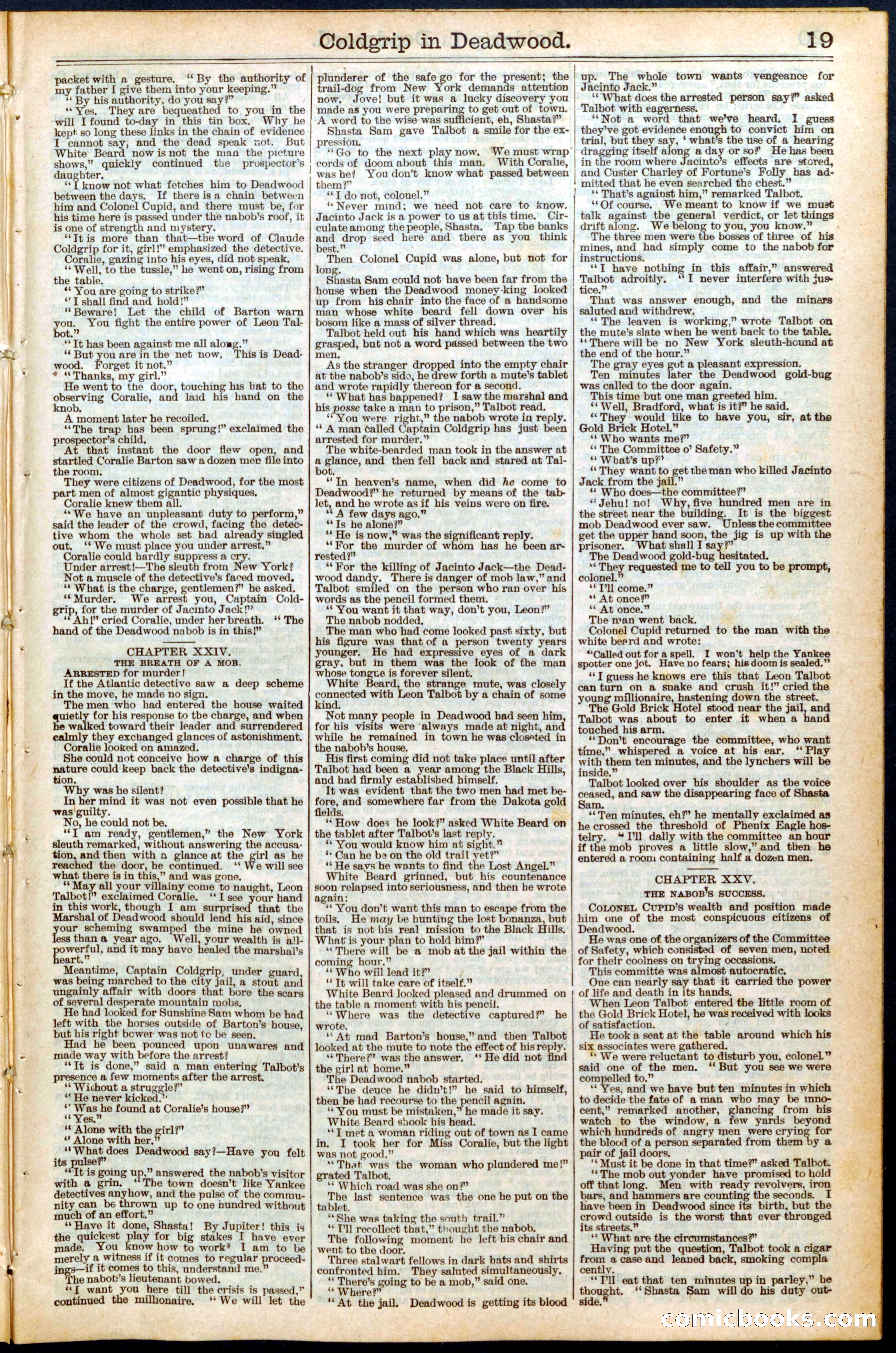 Beadle's Dime Library No. 468 — page 19 of 32