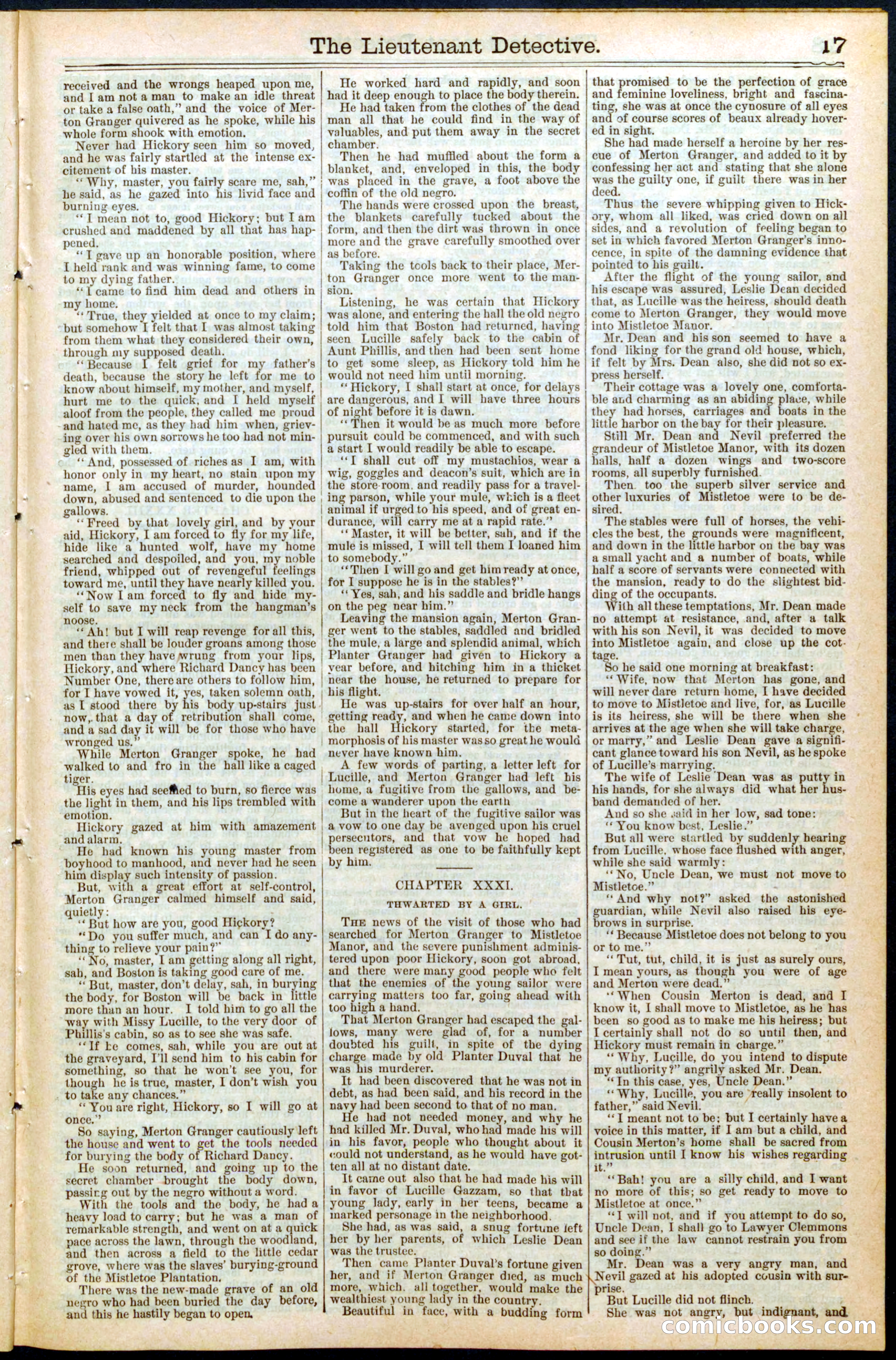 Beadle's New York Dime Library, No. 469 — page 17 of 32