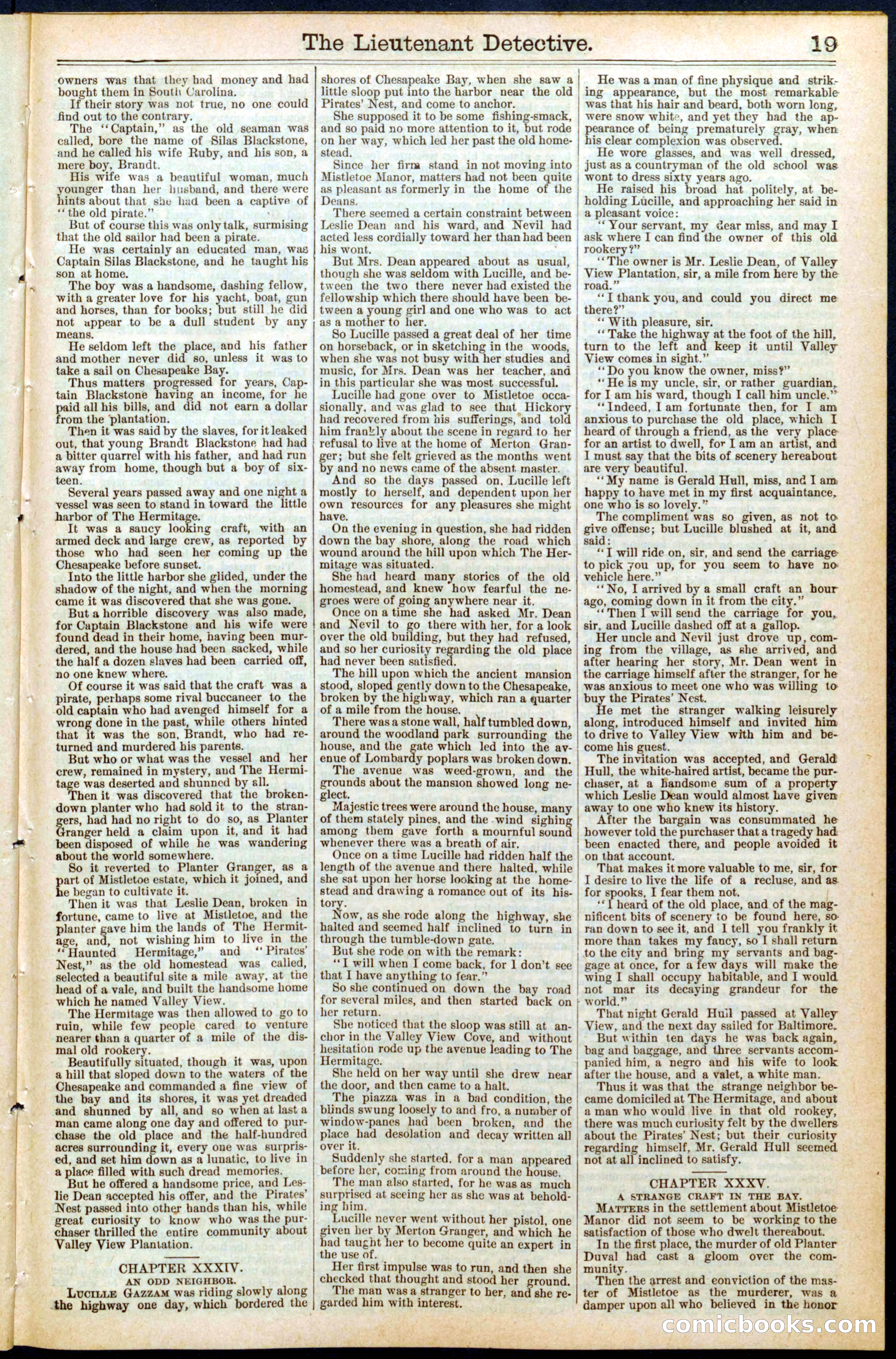 Beadle's New York Dime Library, No. 469 — page 19 of 32
