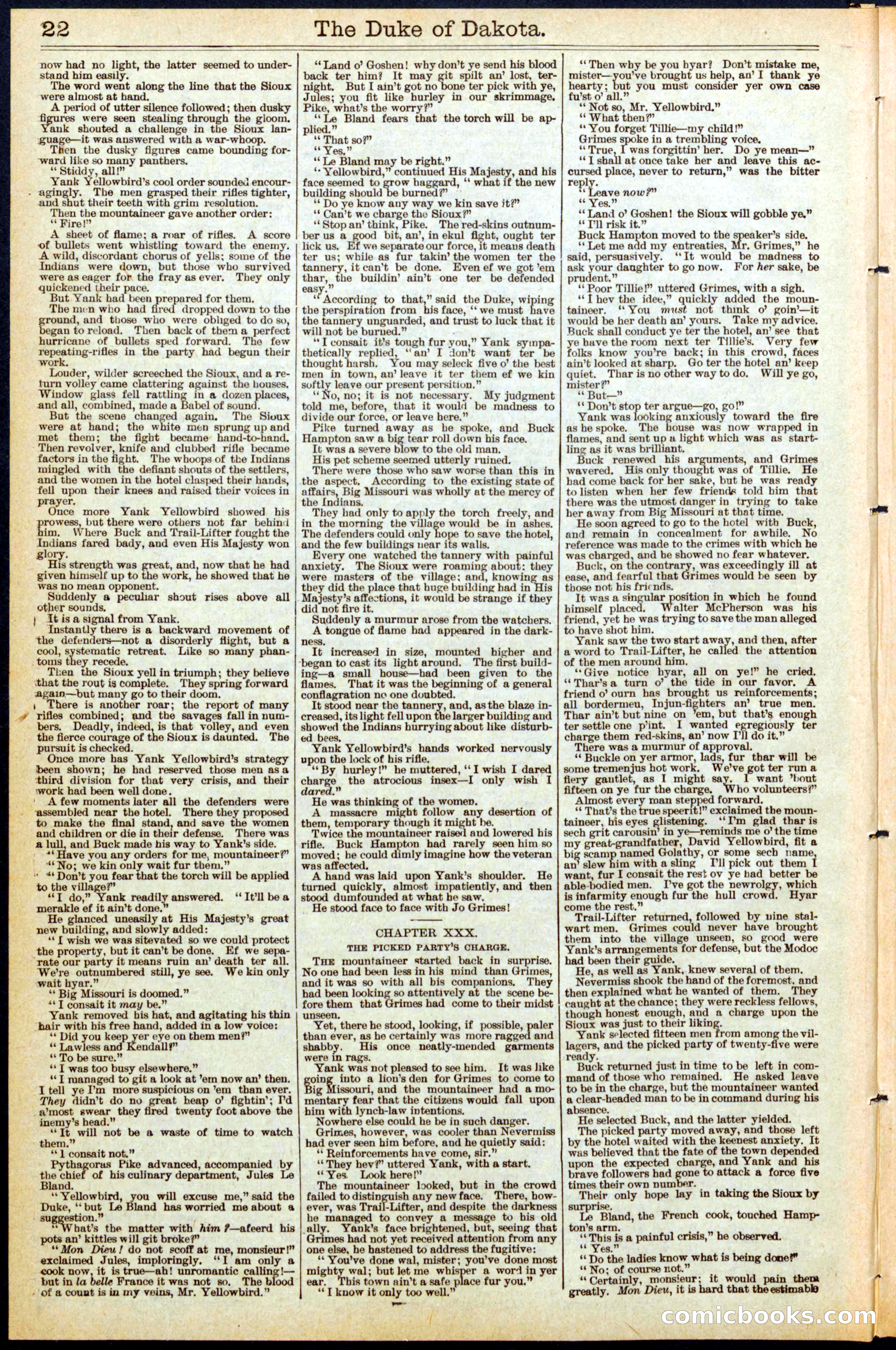 Beadle's New York Dime Library No. 470 — page 22 of 32