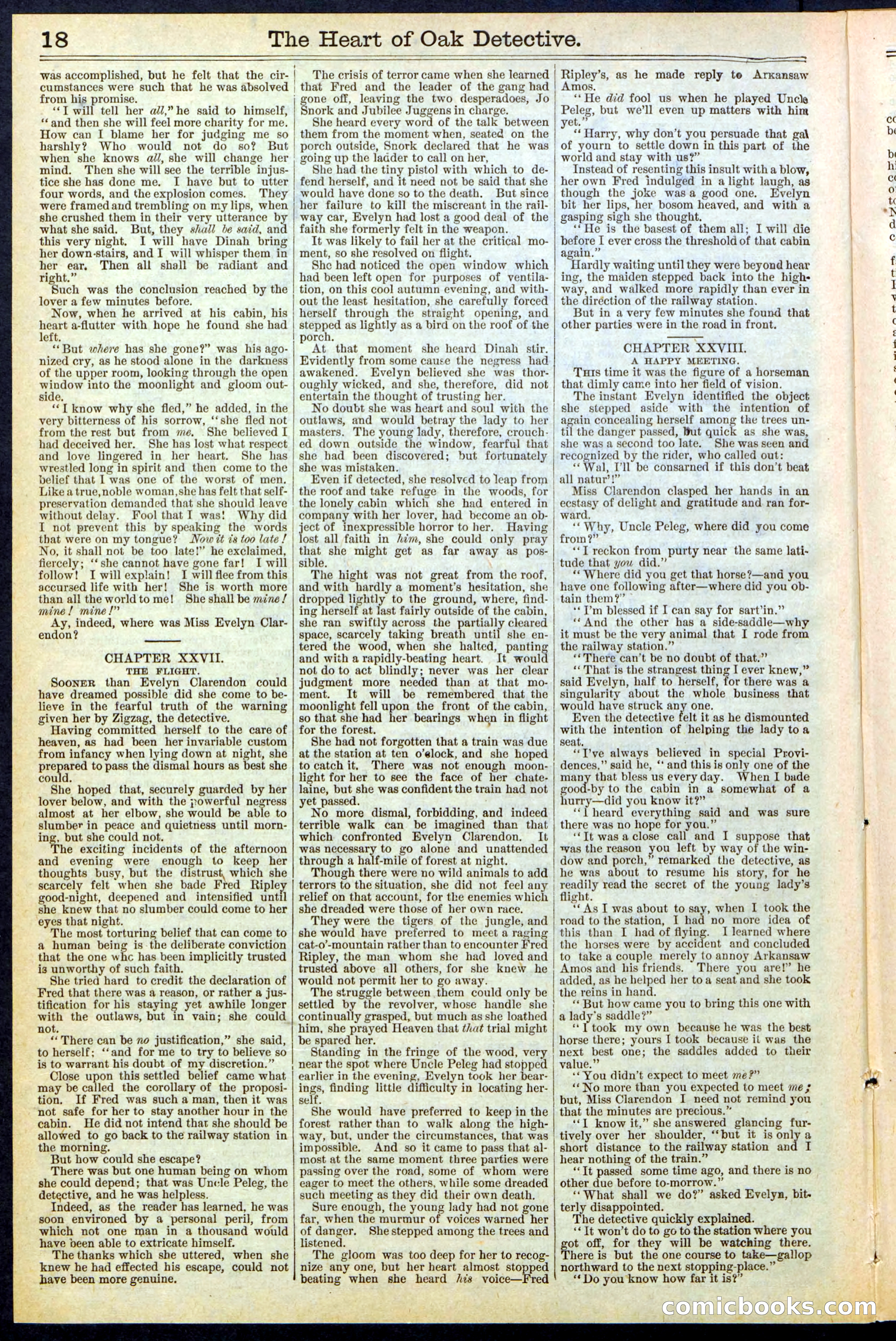 Beadle's New York Dime Library No. 471 — page 18 of 32