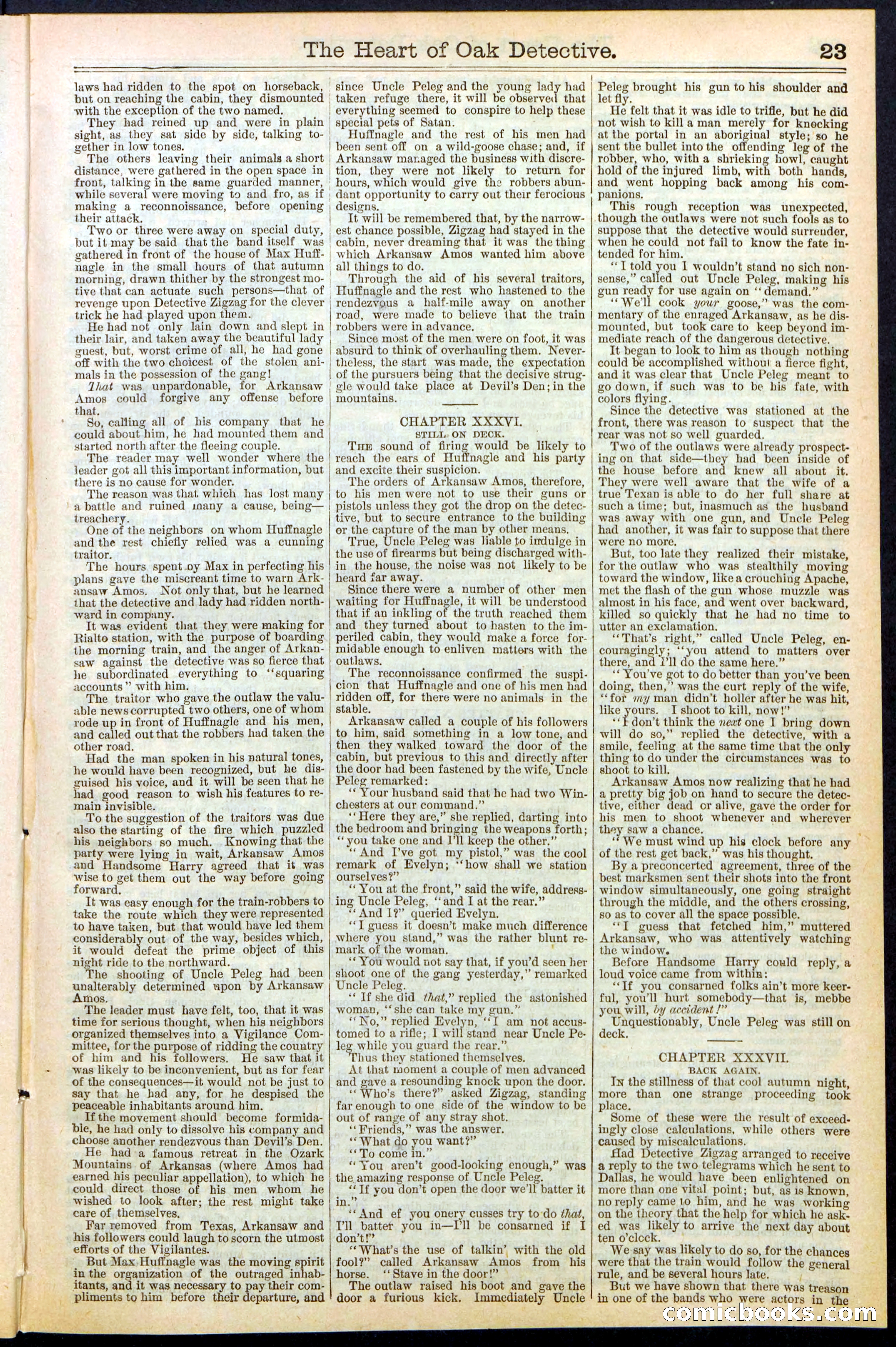 Beadle's New York Dime Library No. 471 — page 23 of 32