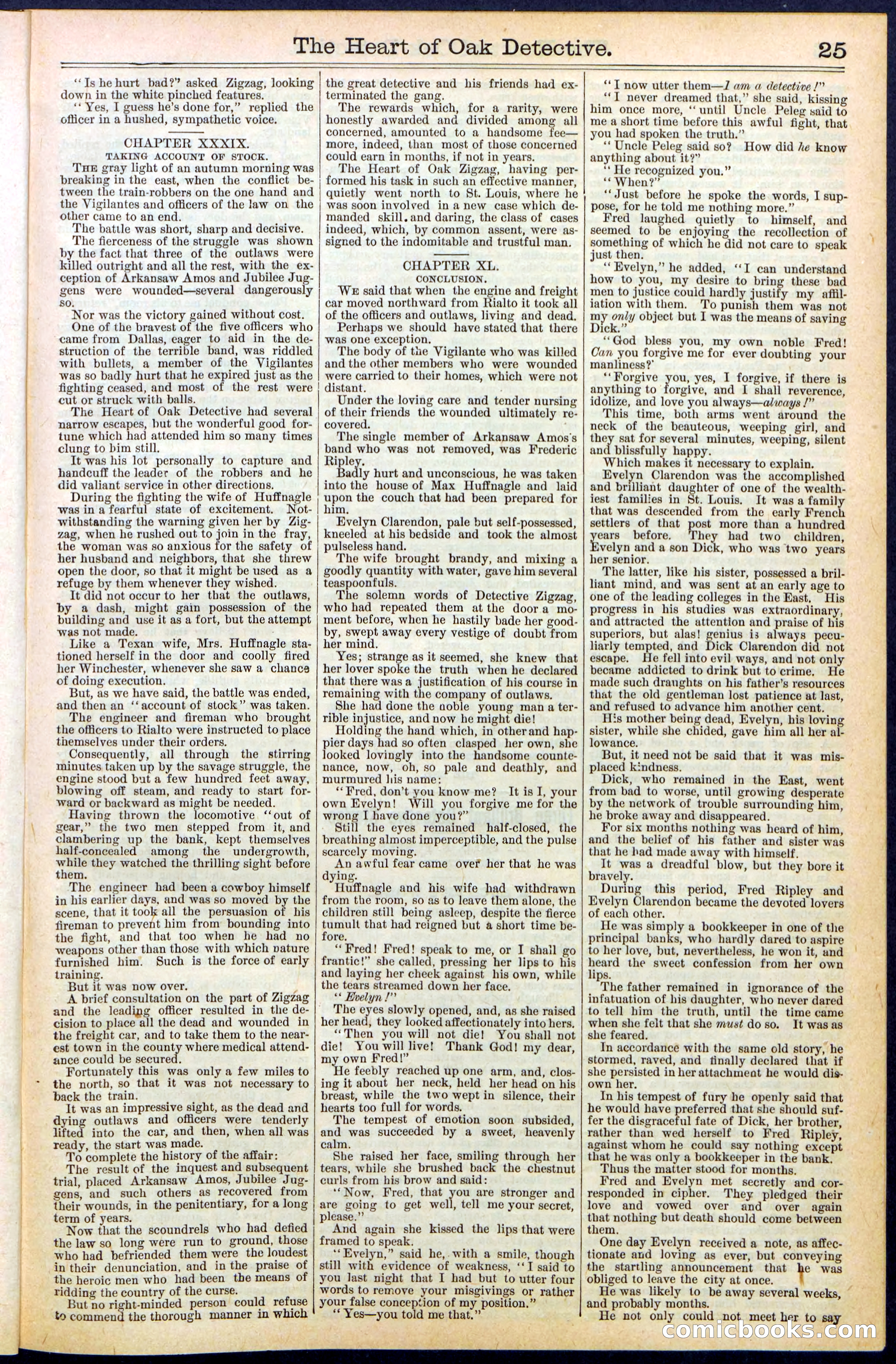 Beadle's New York Dime Library No. 471 — page 25 of 32