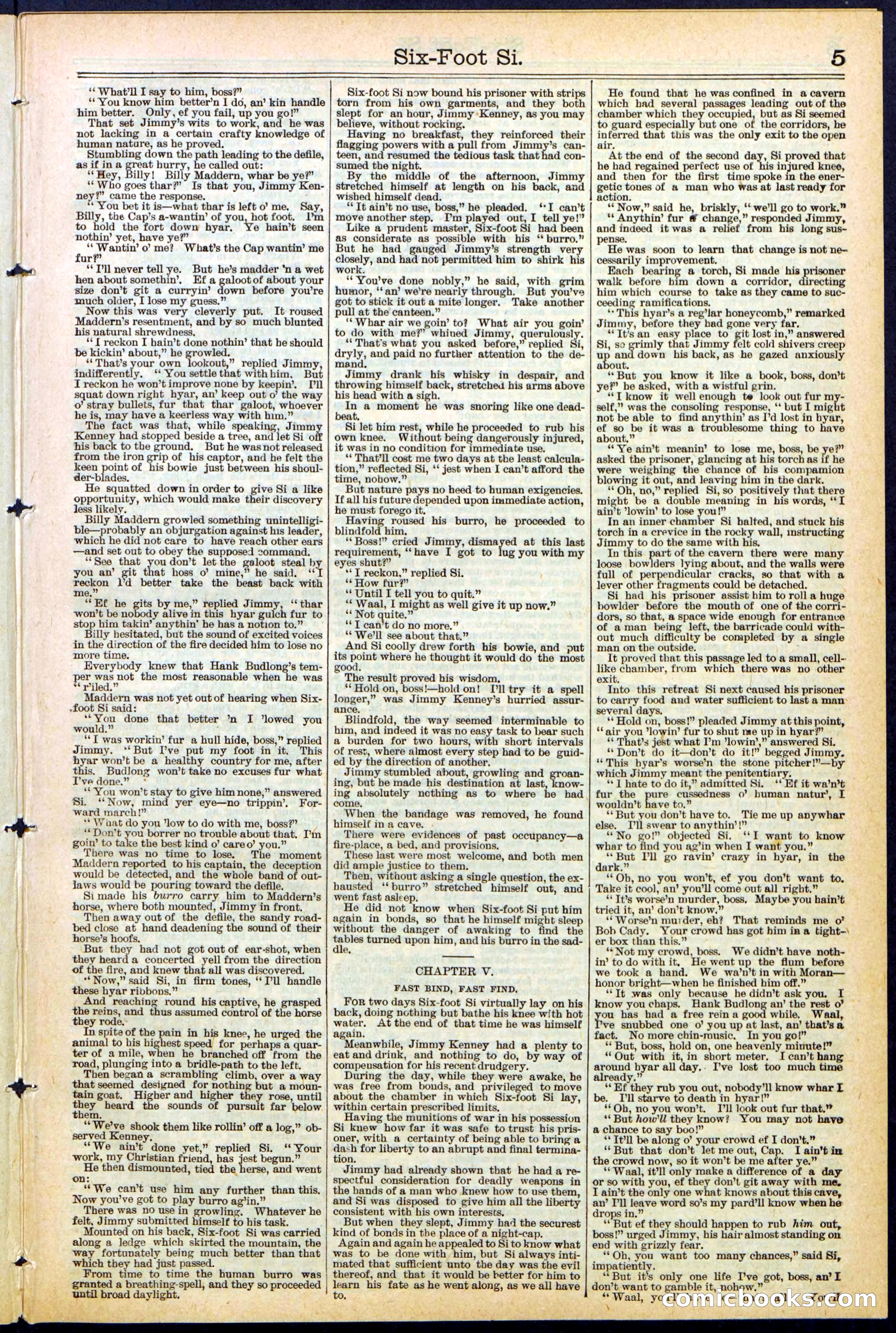 Beadle's New York Dime Library, No. 472 — page 5 of 32