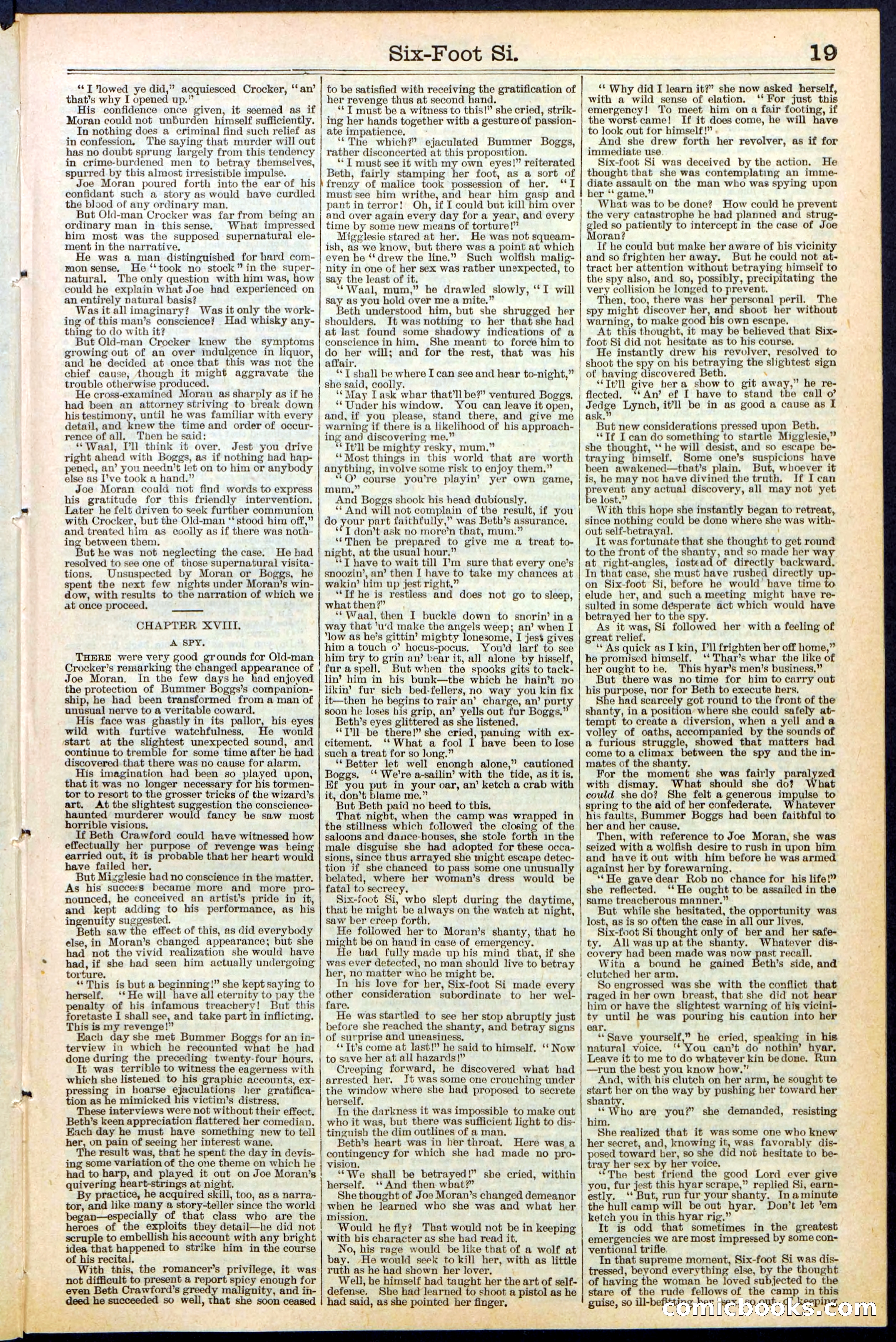 Beadle's New York Dime Library, No. 472 — page 19 of 32