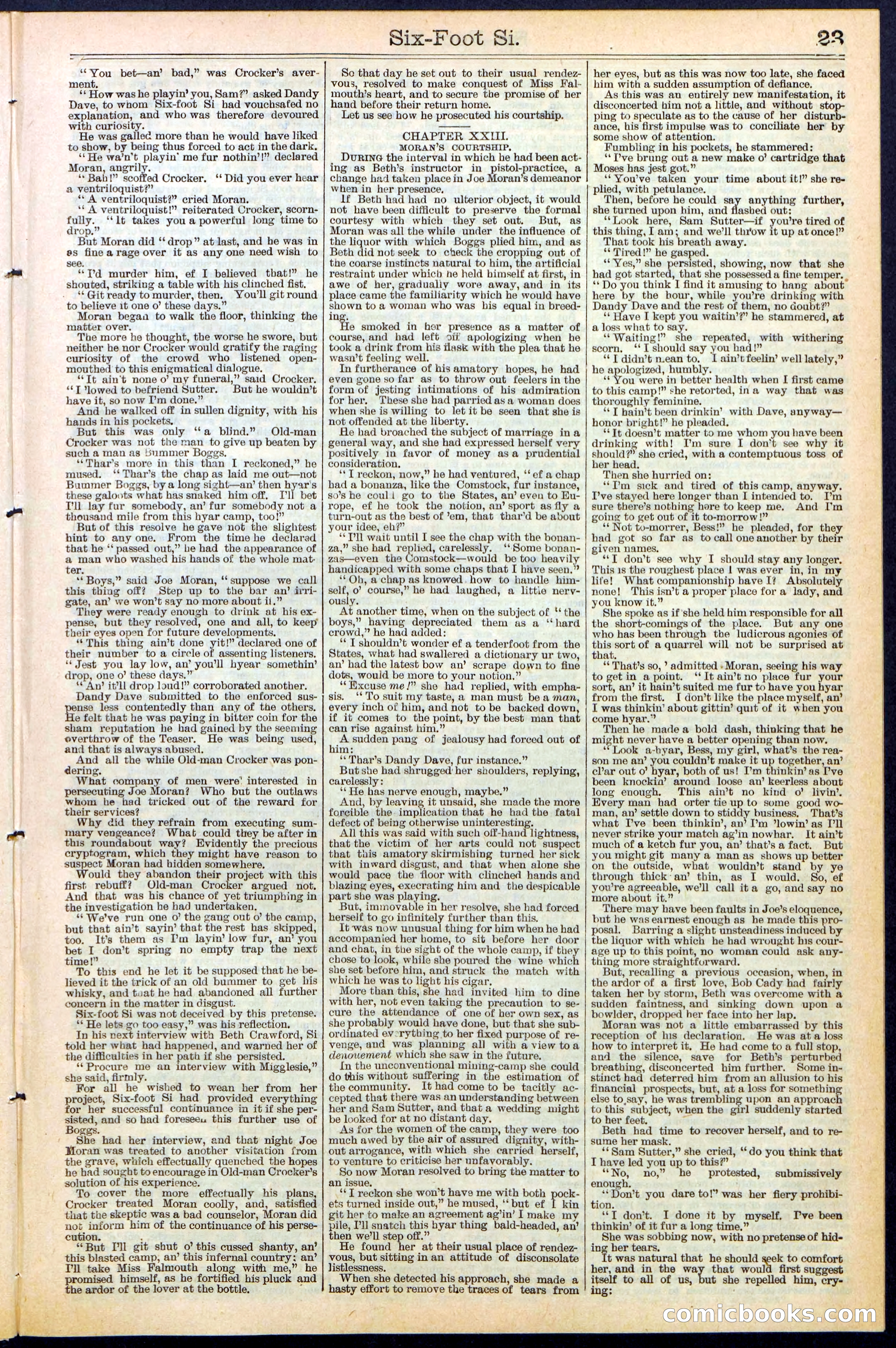 Beadle's New York Dime Library, No. 472 — page 23 of 32