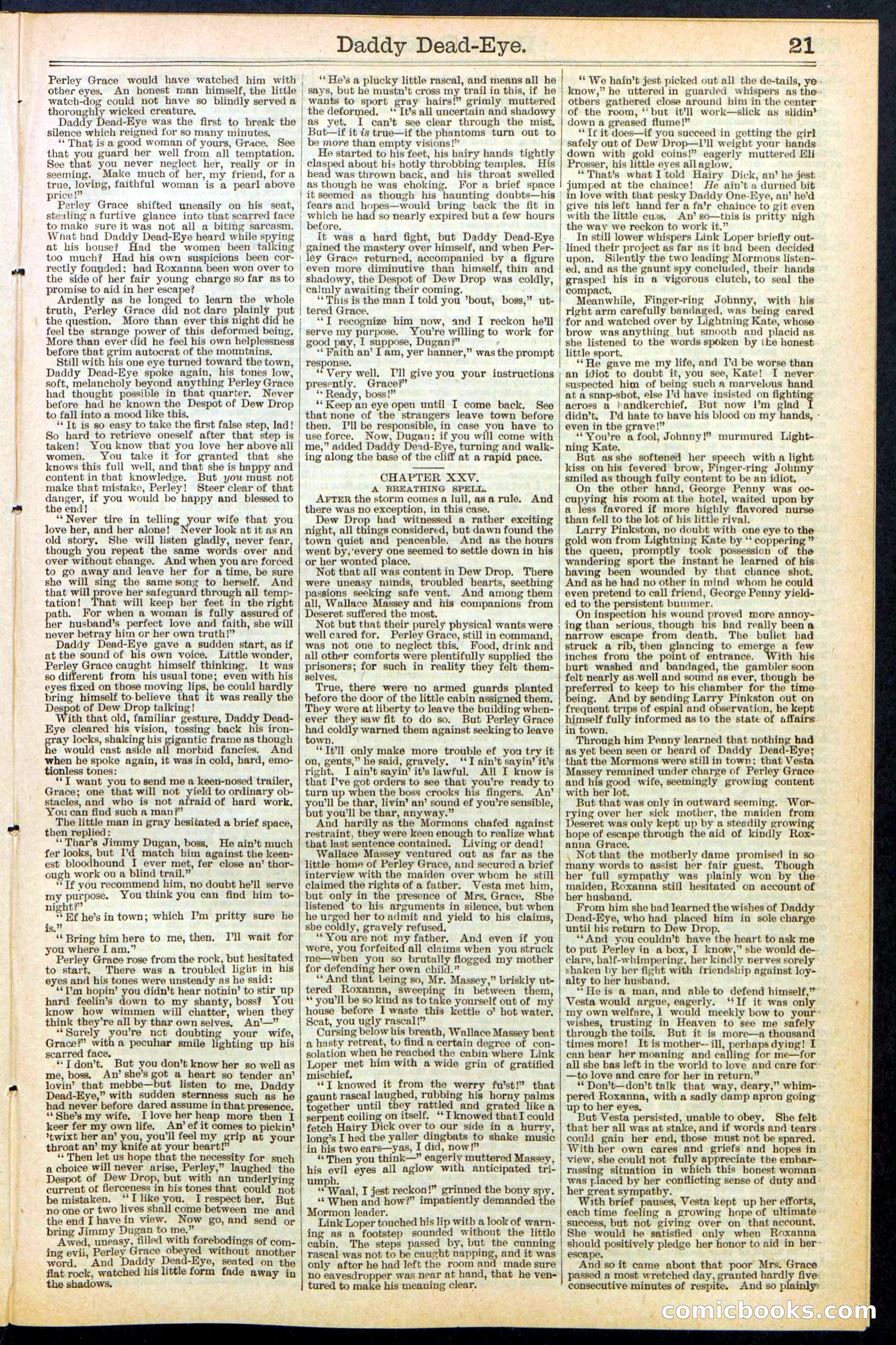 Beadle's New York Dime Library No. 474 — page 21 of 32