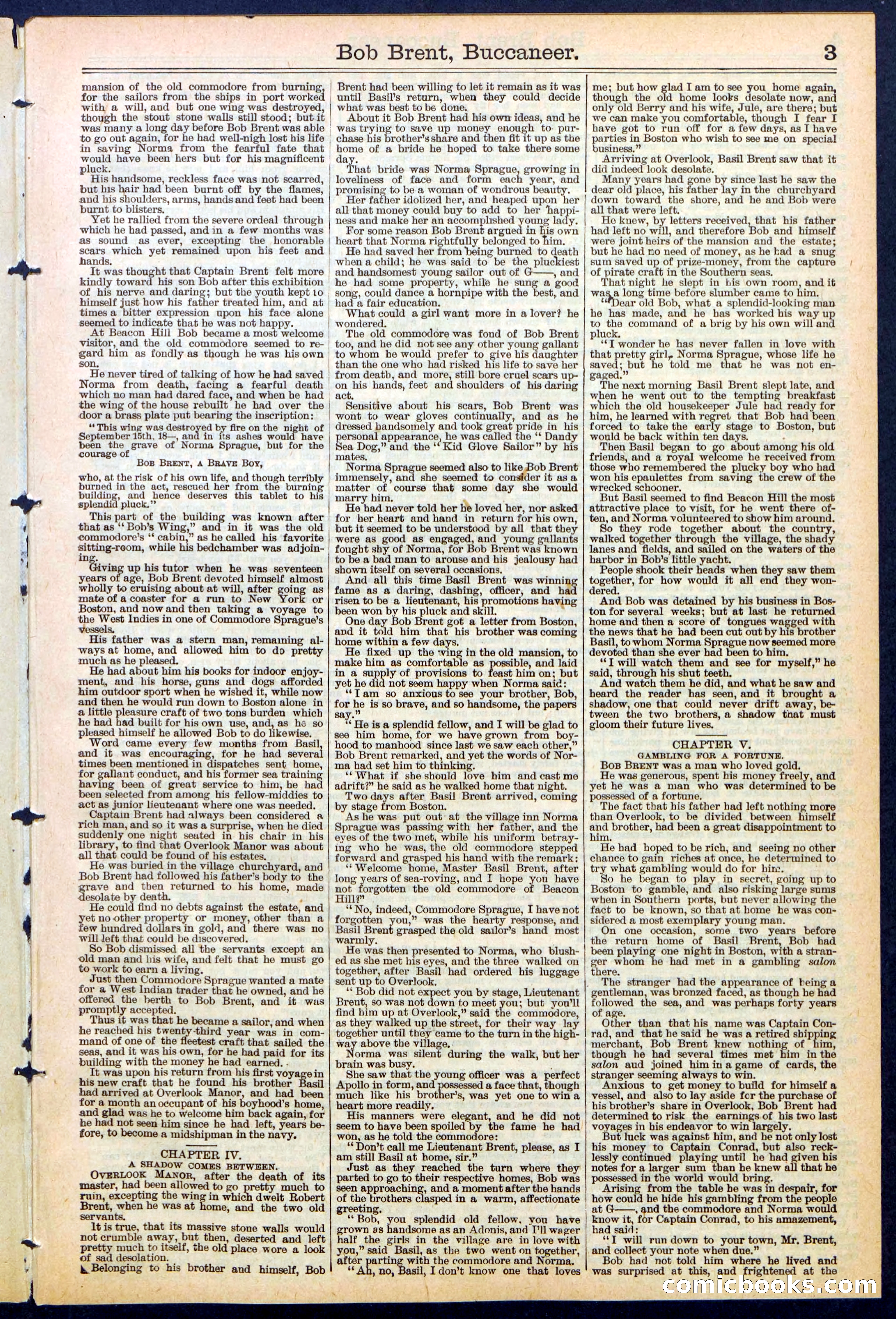 Beadle's New York Dime Library No. 476 — page 3 of 32