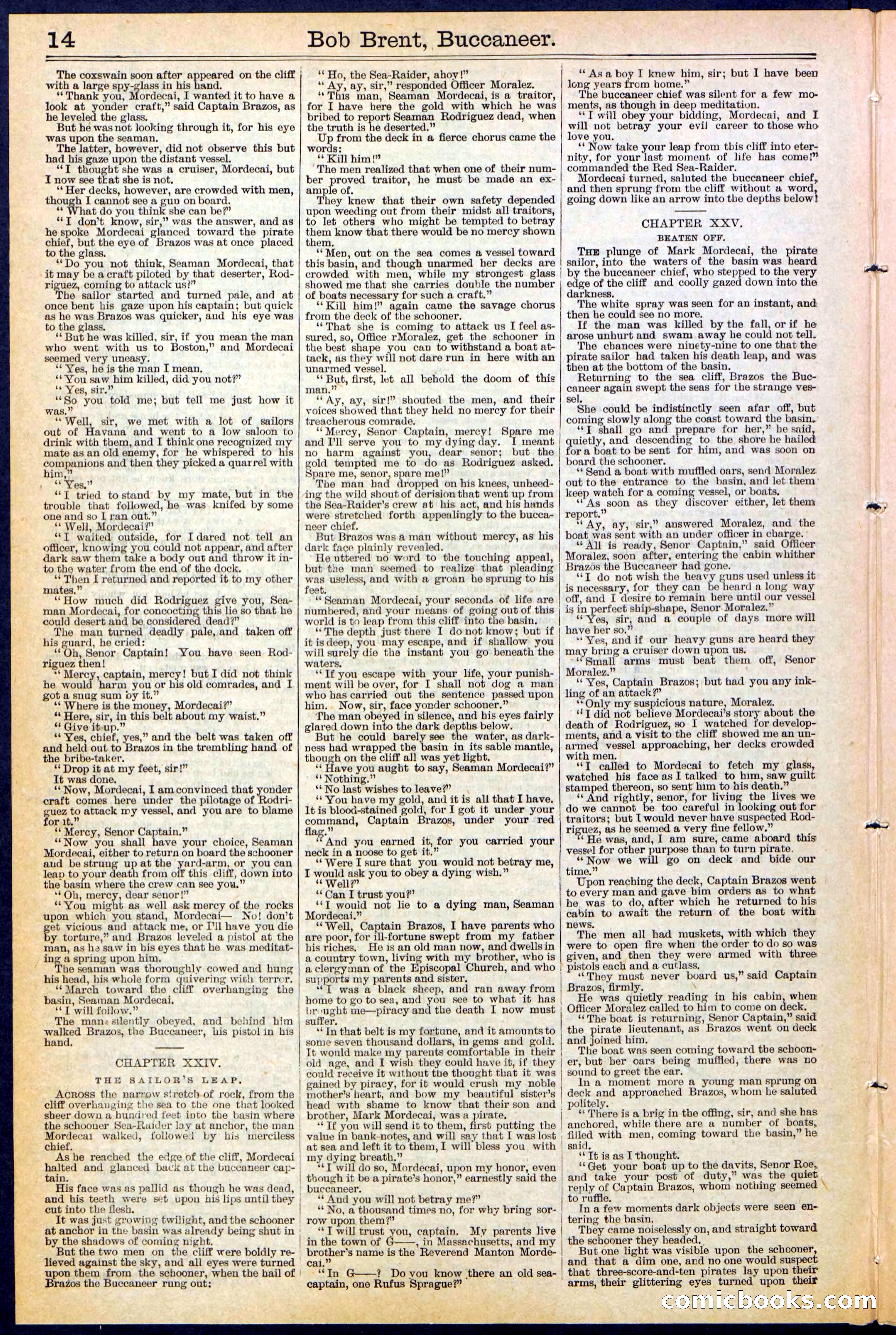 Beadle's New York Dime Library No. 476 — page 14 of 32