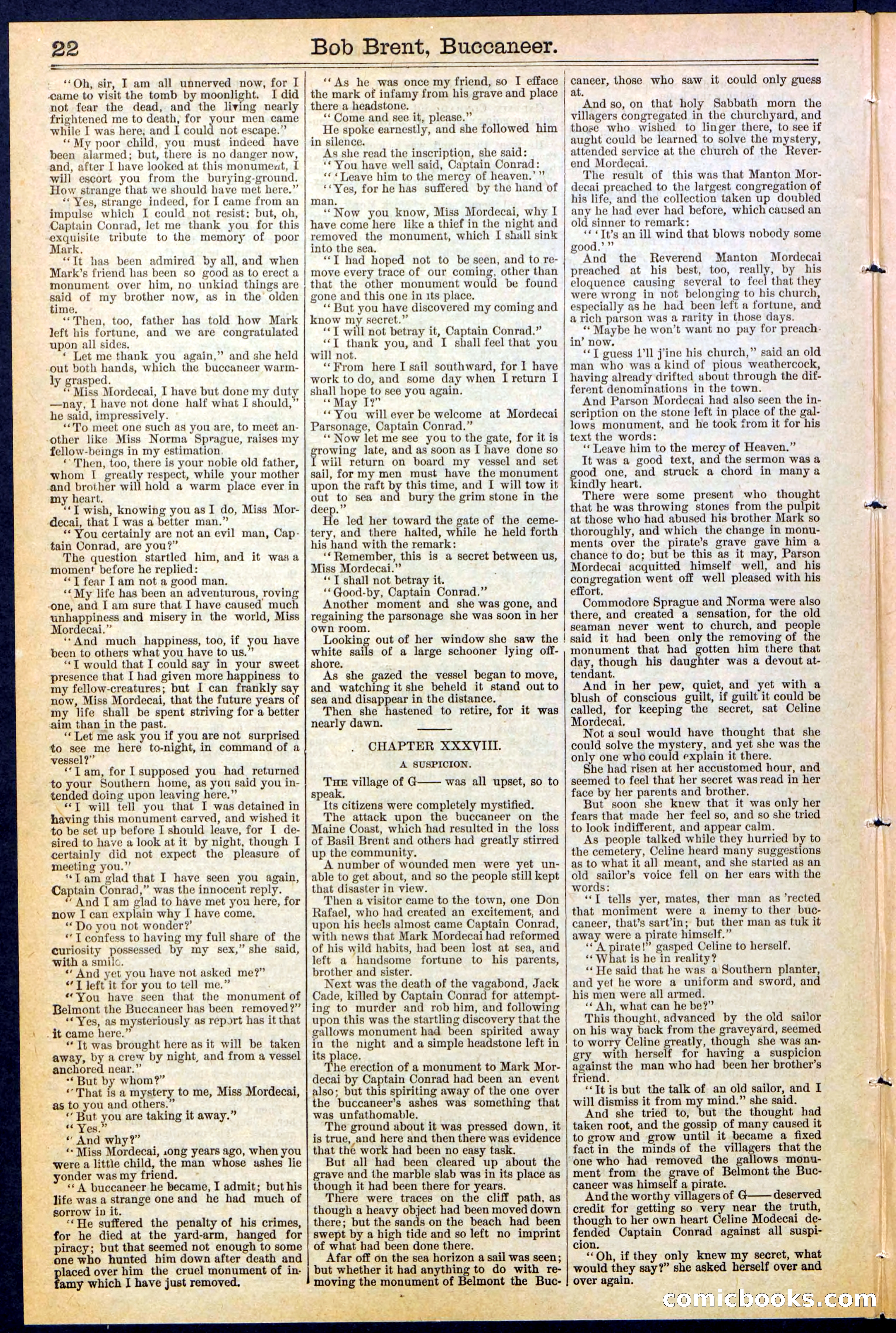 Beadle's New York Dime Library No. 476 — page 22 of 32
