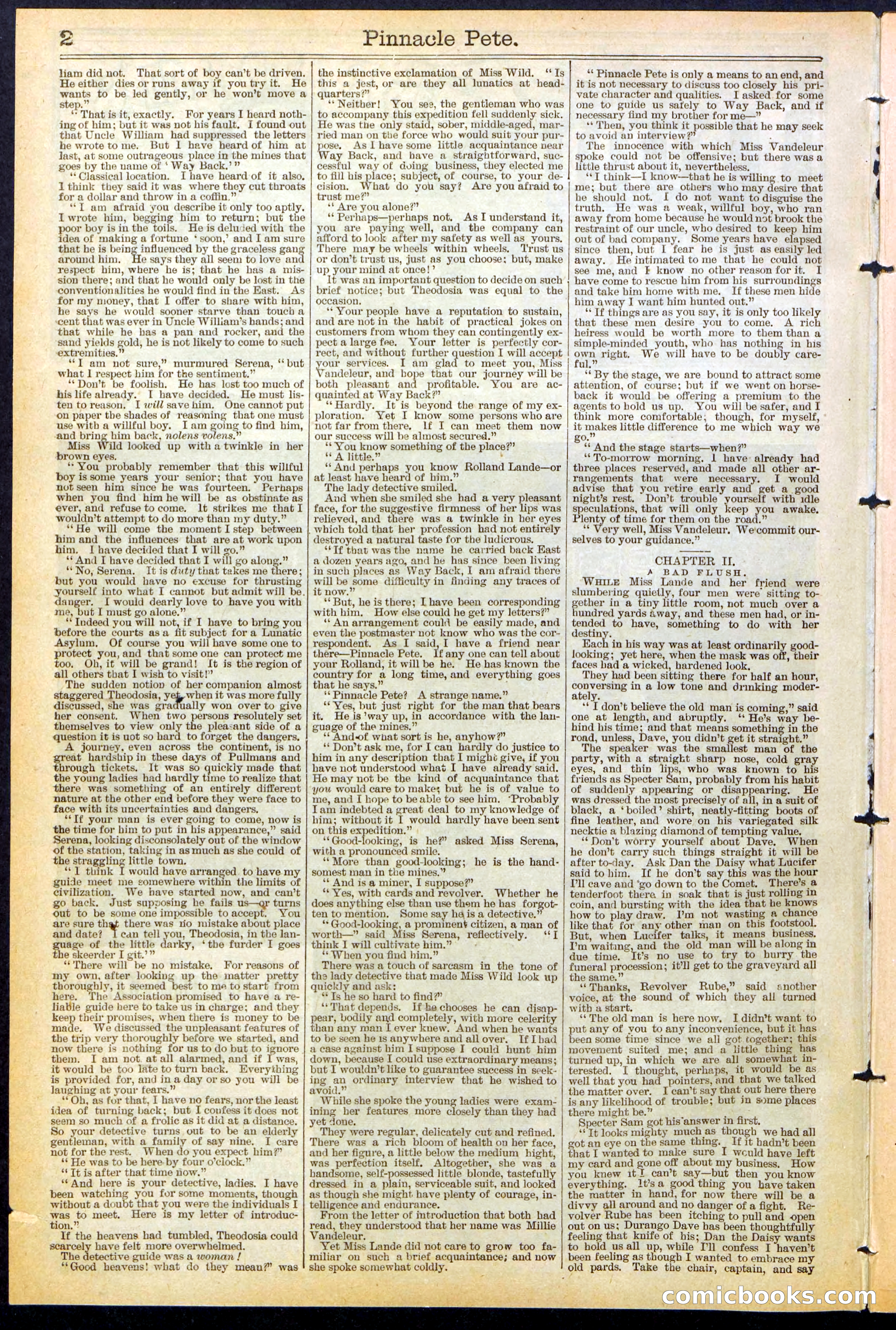 Beadle's New York Dime Library, No. 478 — page 2 of 32