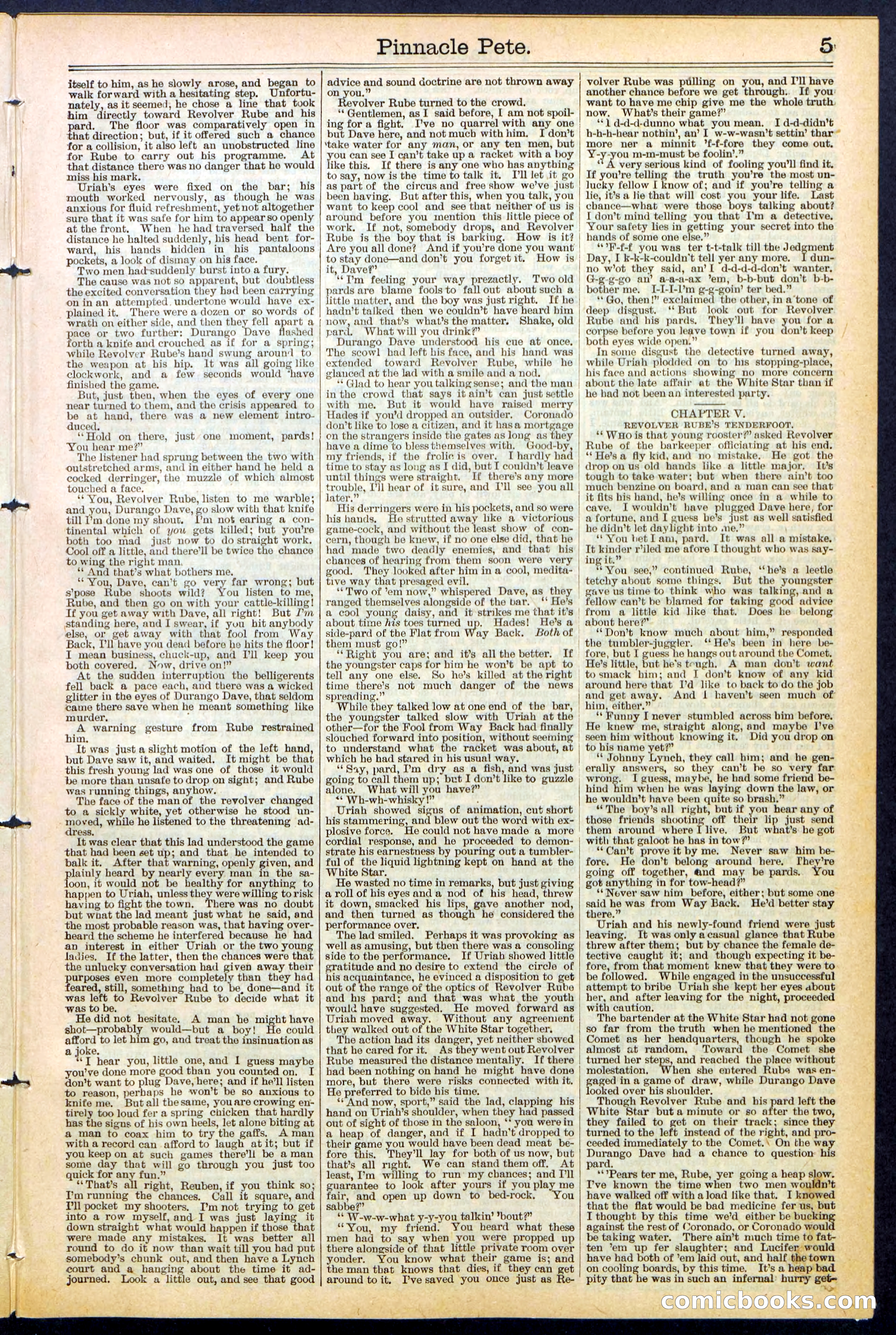 Beadle's New York Dime Library, No. 478 — page 5 of 32