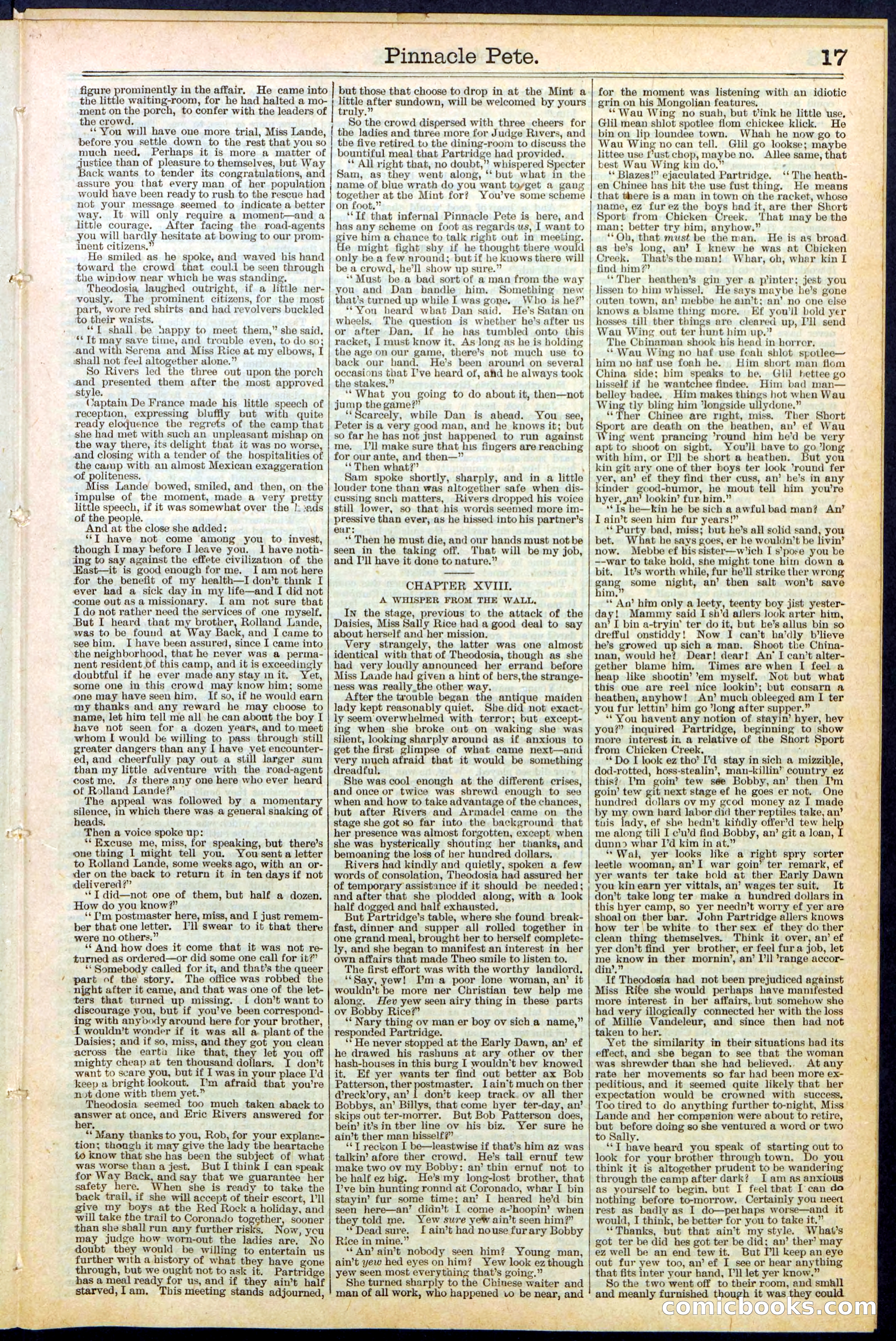 Beadle's New York Dime Library, No. 478 — page 17 of 32