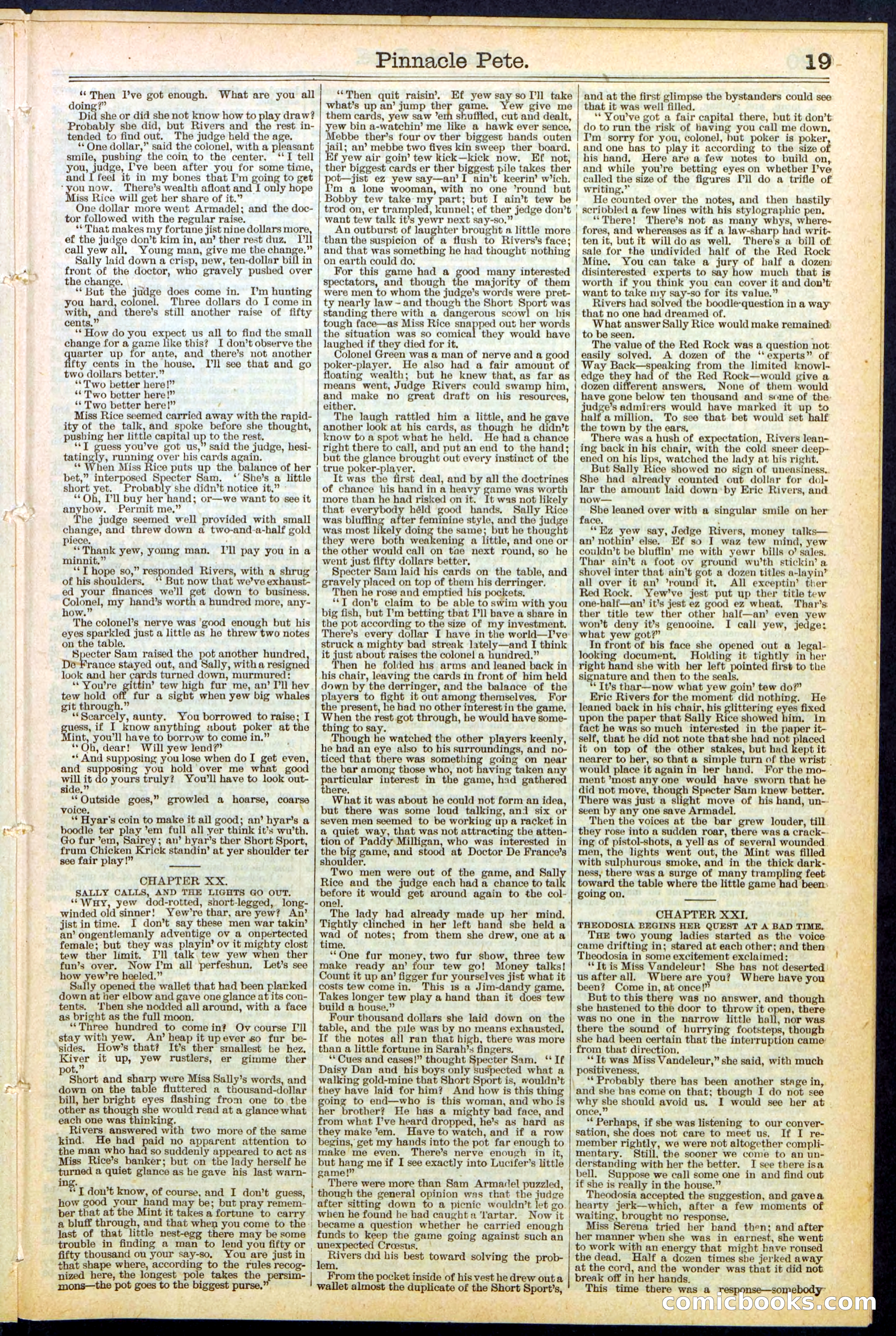 Beadle's New York Dime Library, No. 478 — page 19 of 32