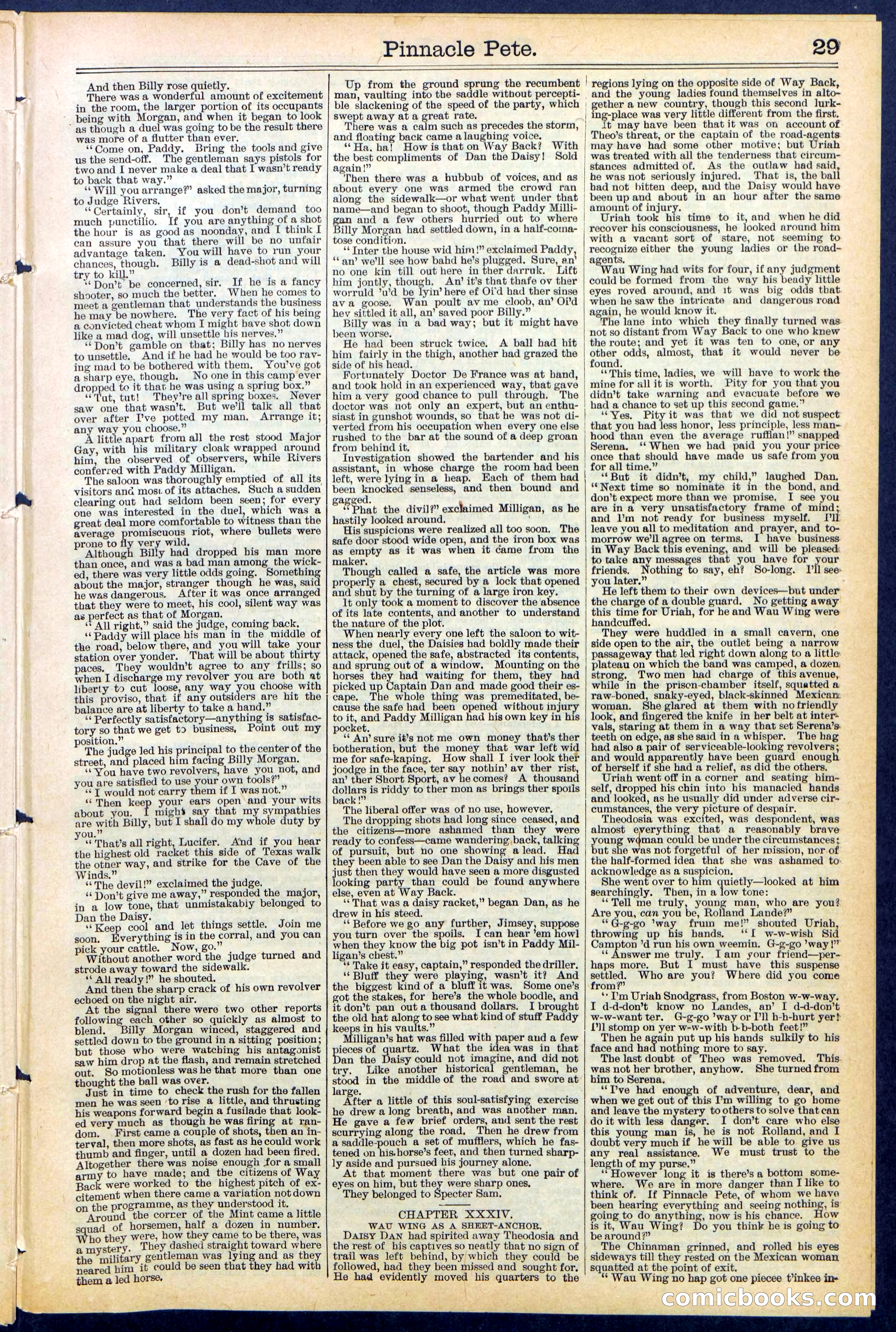 Beadle's New York Dime Library, No. 478 — page 29 of 32