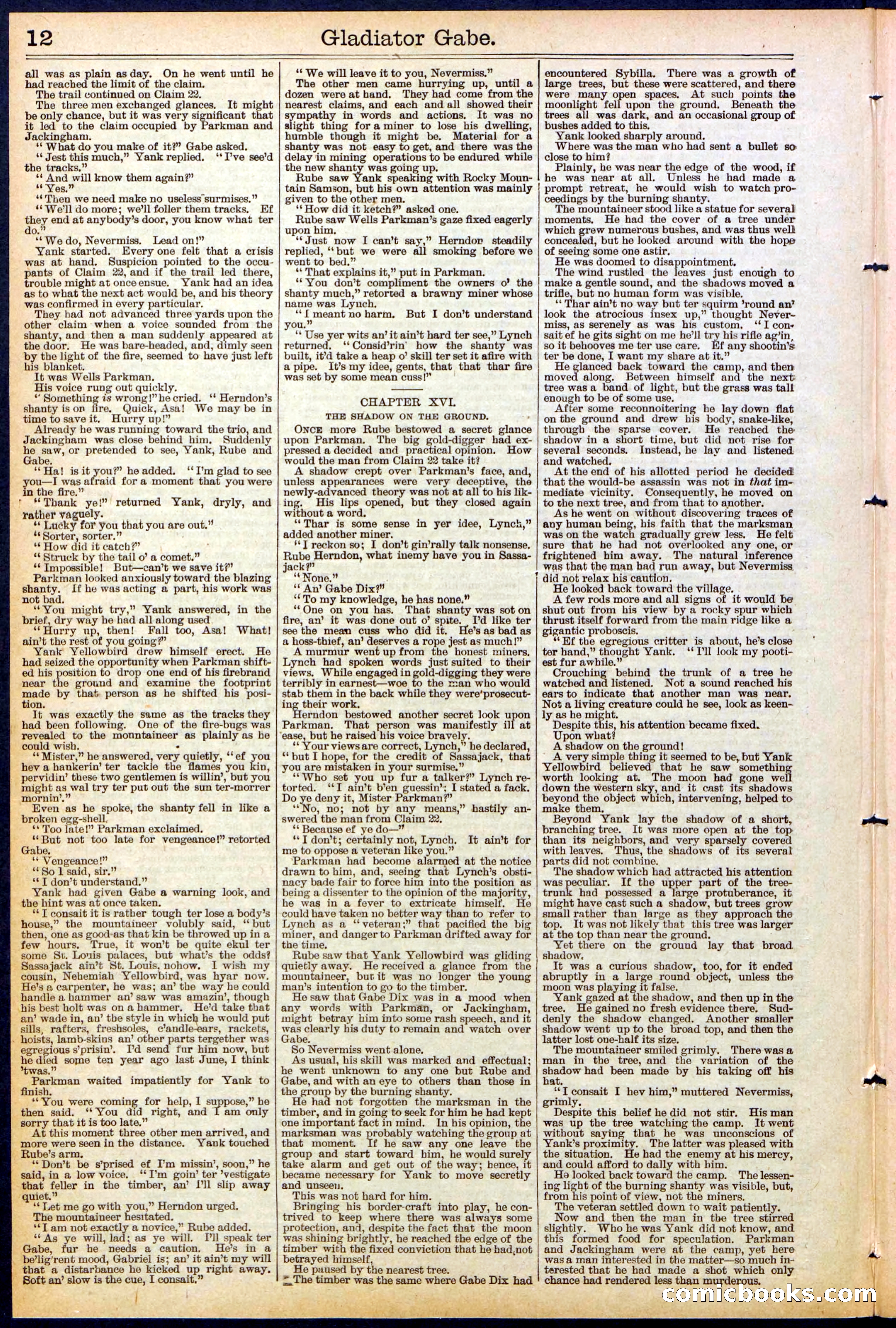 Beadle's New York Dime Library No. 479 — page 12 of 32