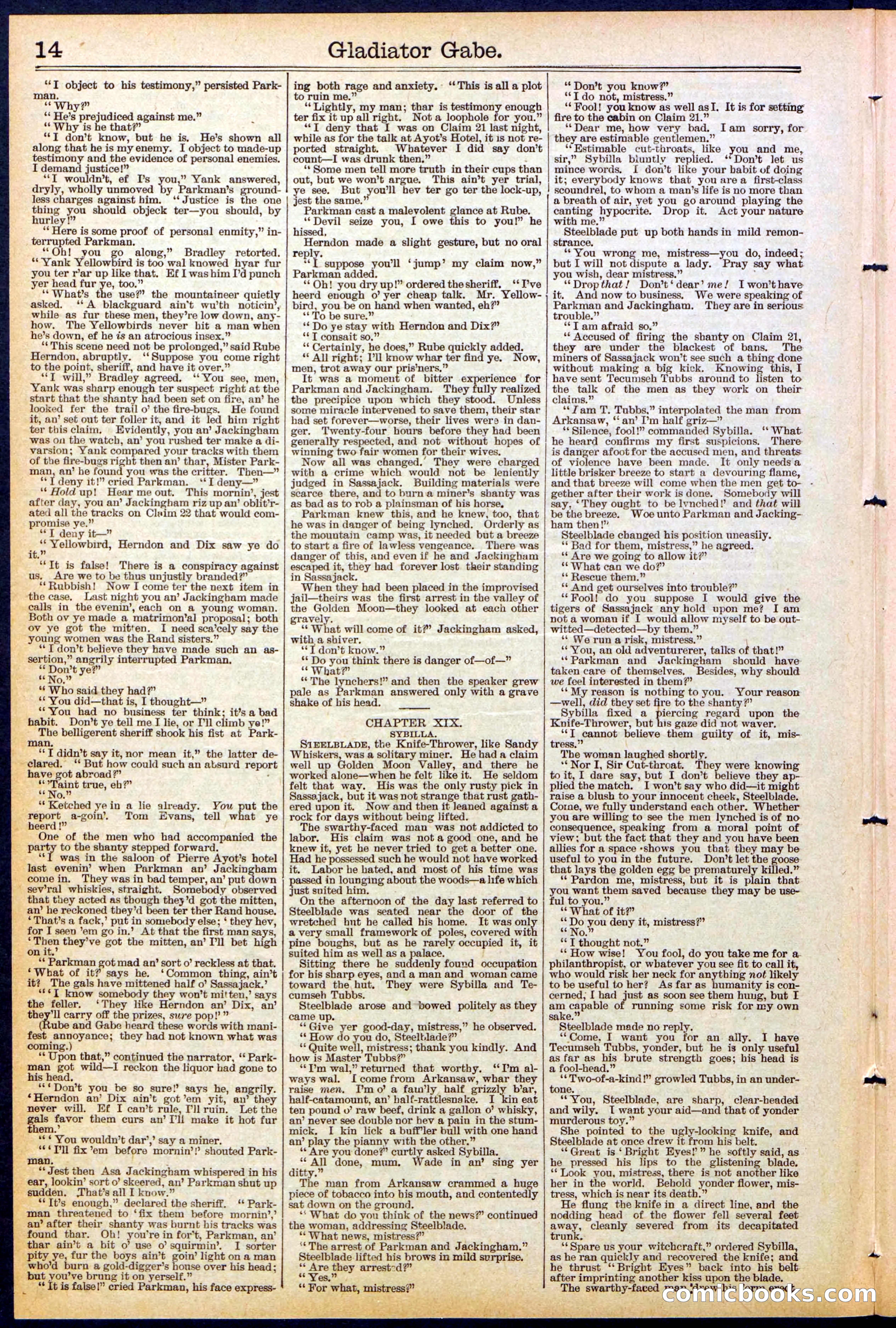Beadle's New York Dime Library No. 479 — page 14 of 32