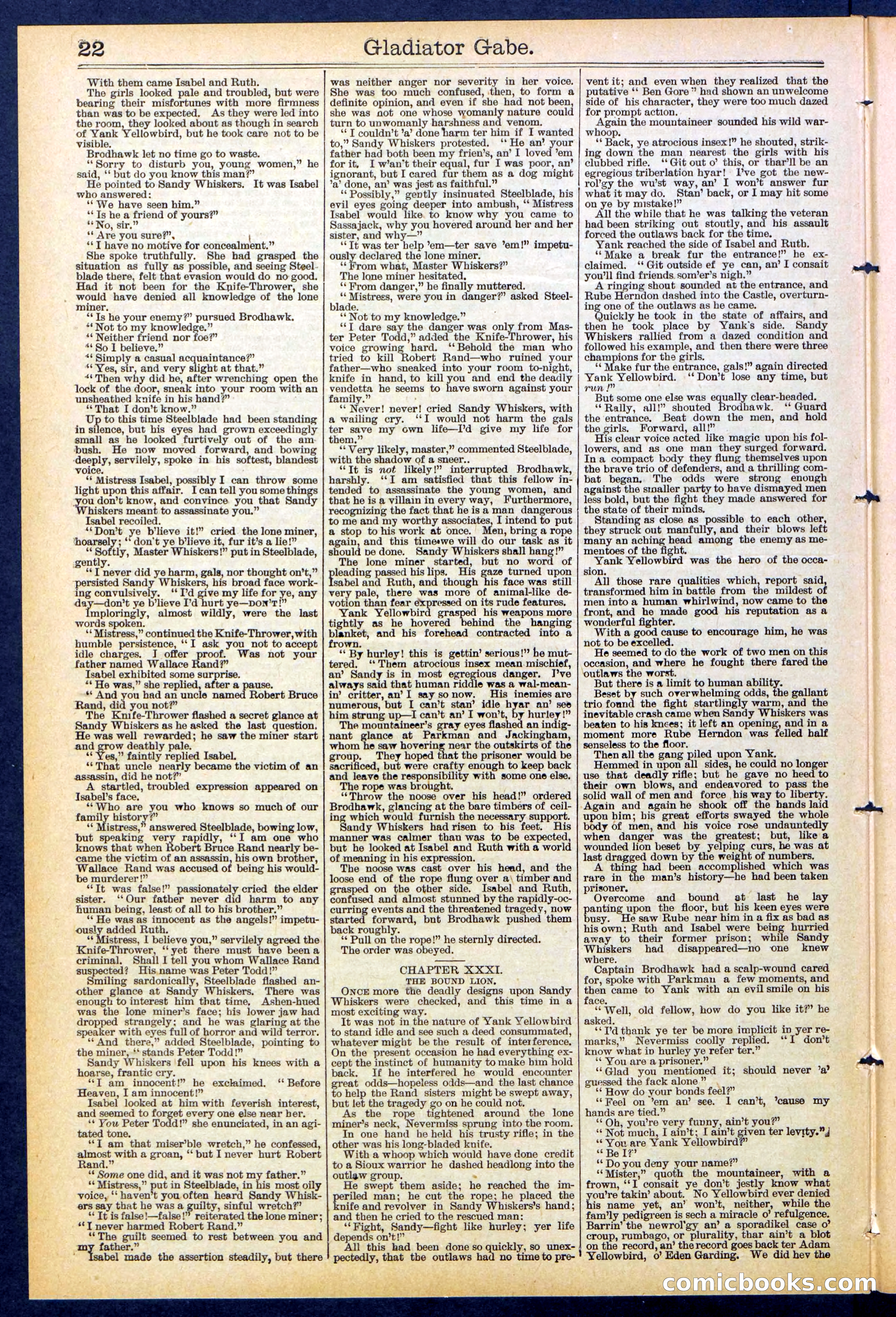 Beadle's New York Dime Library No. 479 — page 22 of 32
