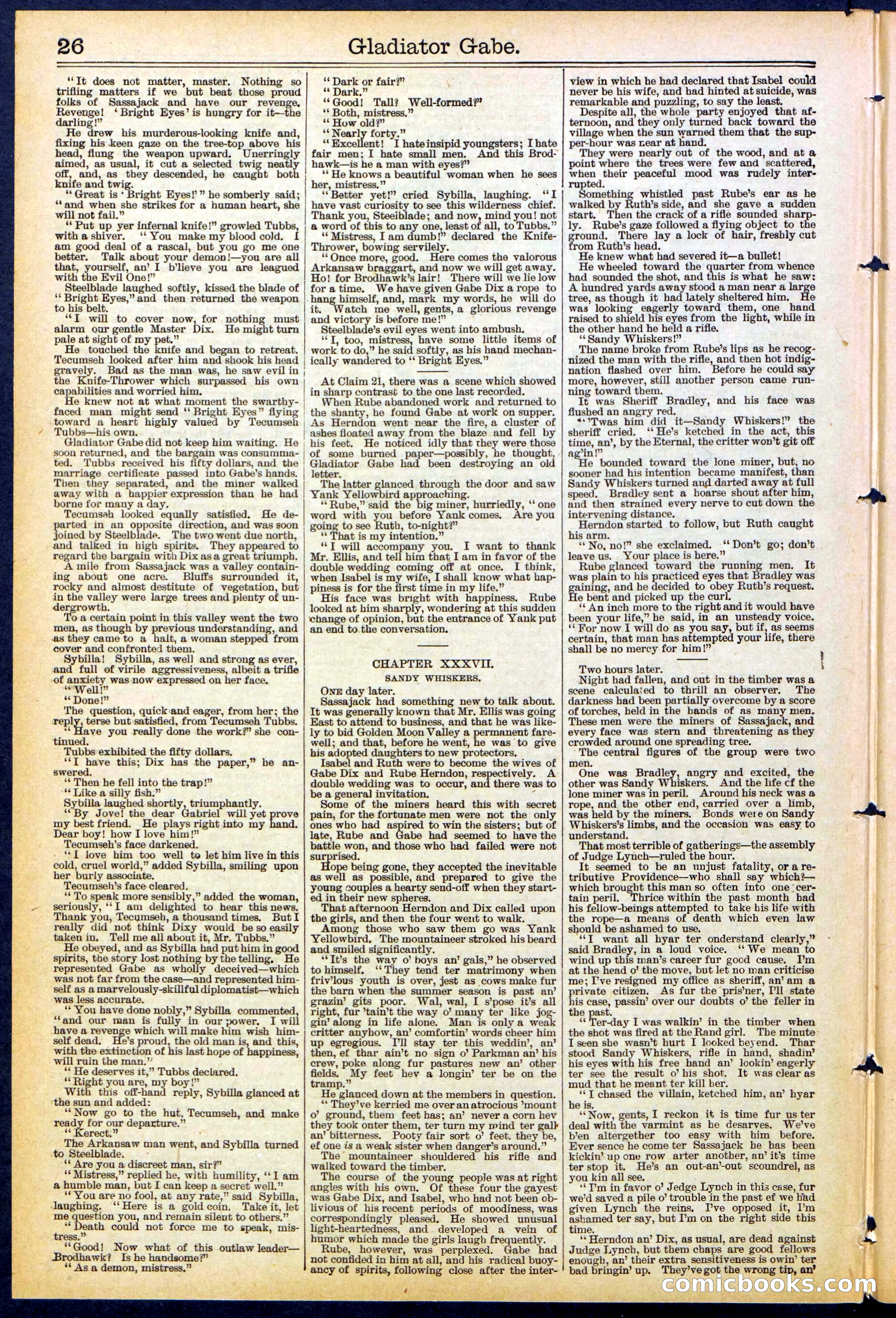 Beadle's New York Dime Library No. 479 — page 26 of 32