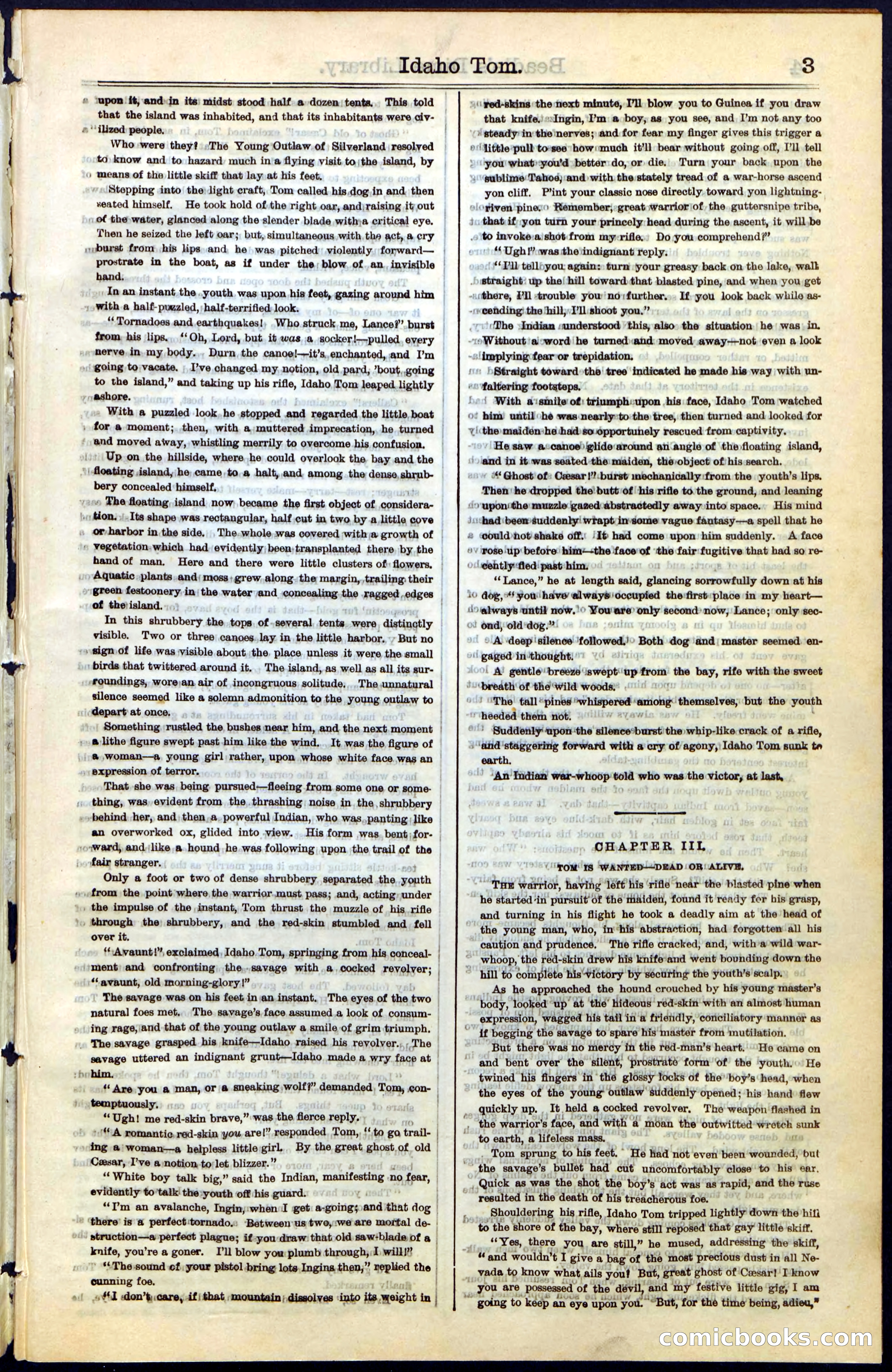 Beadle's New York Dime Library, No. 48 — page 3 of 40