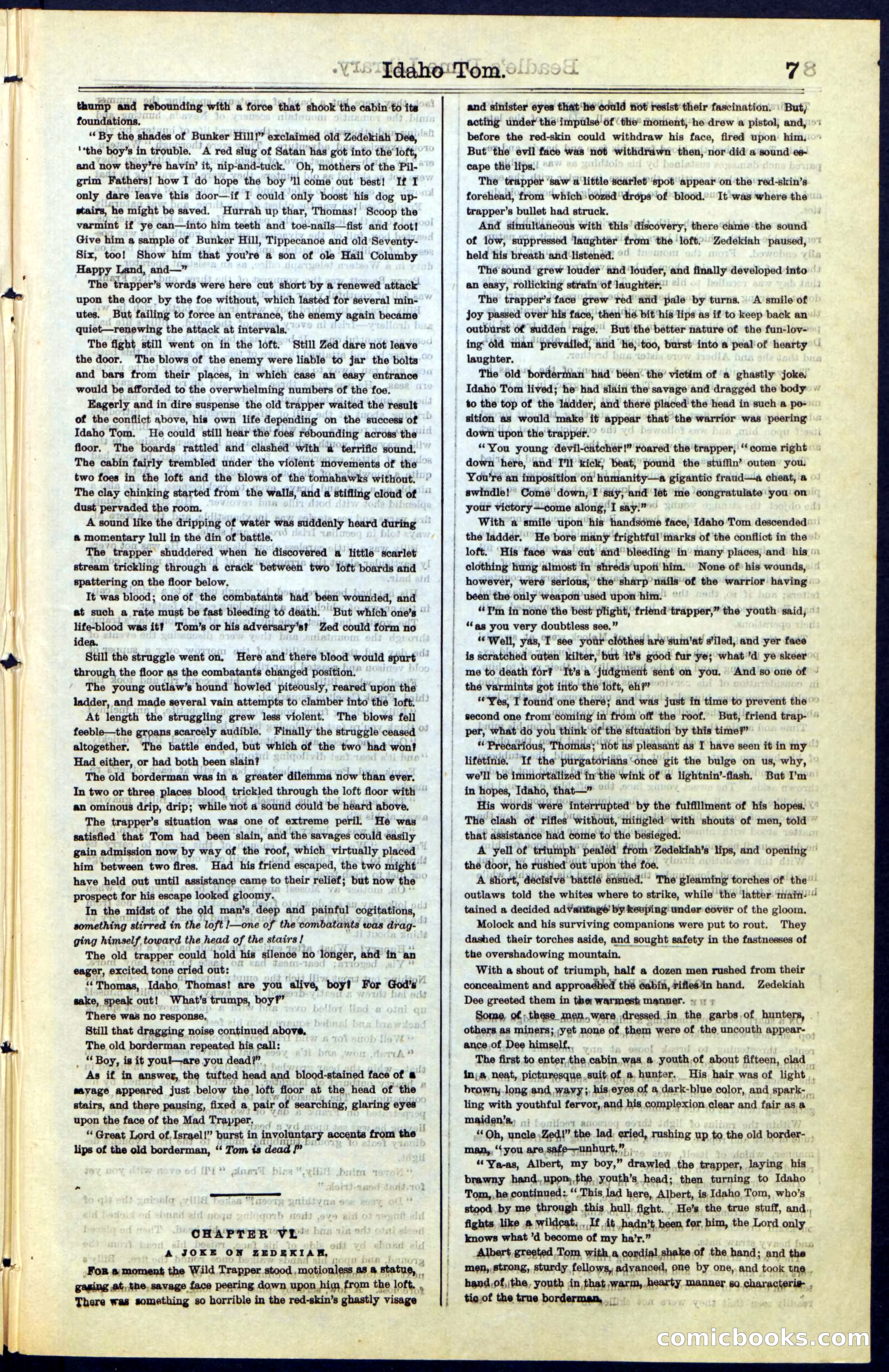 Beadle's New York Dime Library, No. 48 — page 7 of 40