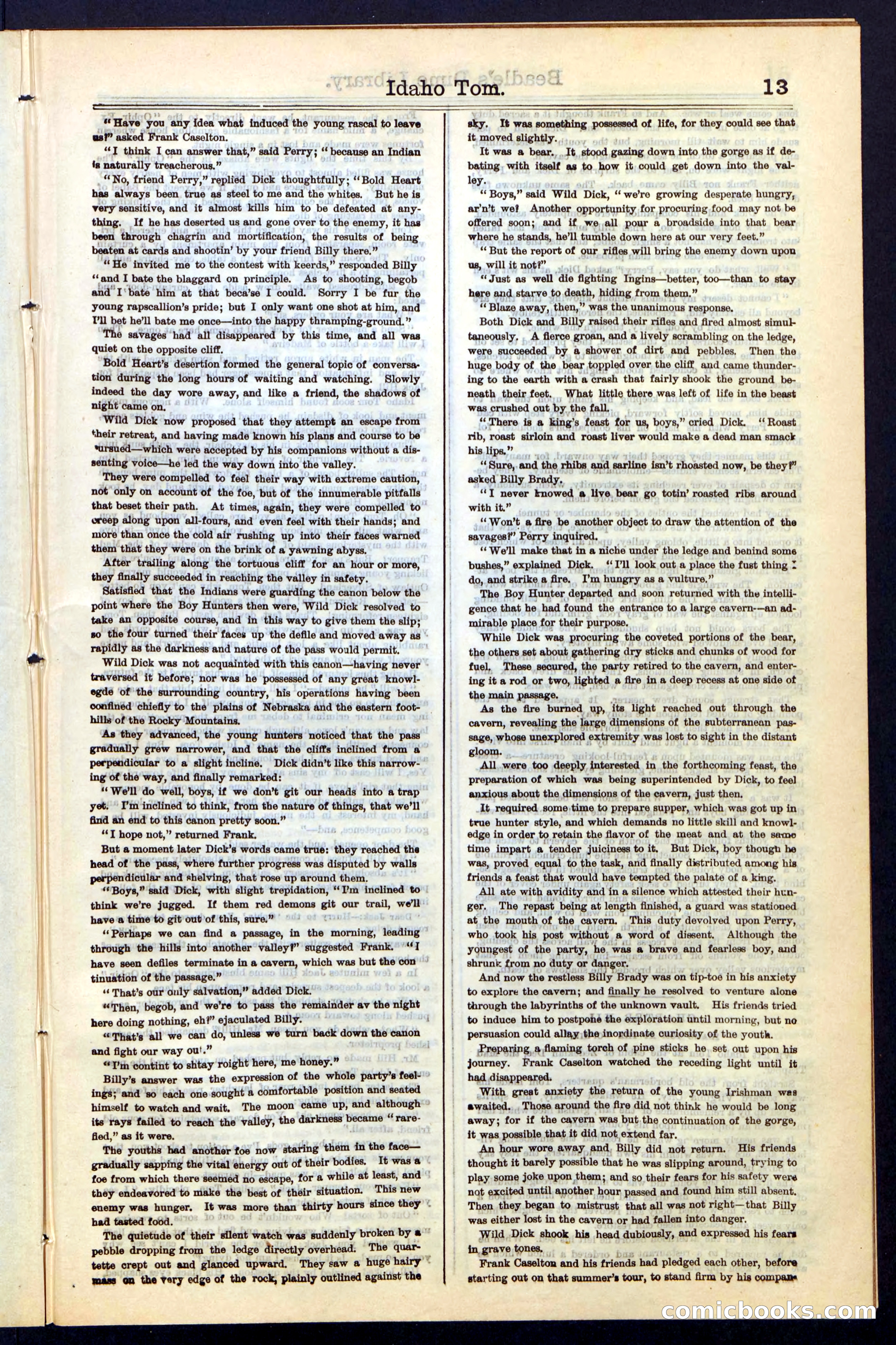 Beadle's New York Dime Library, No. 48 — page 13 of 40