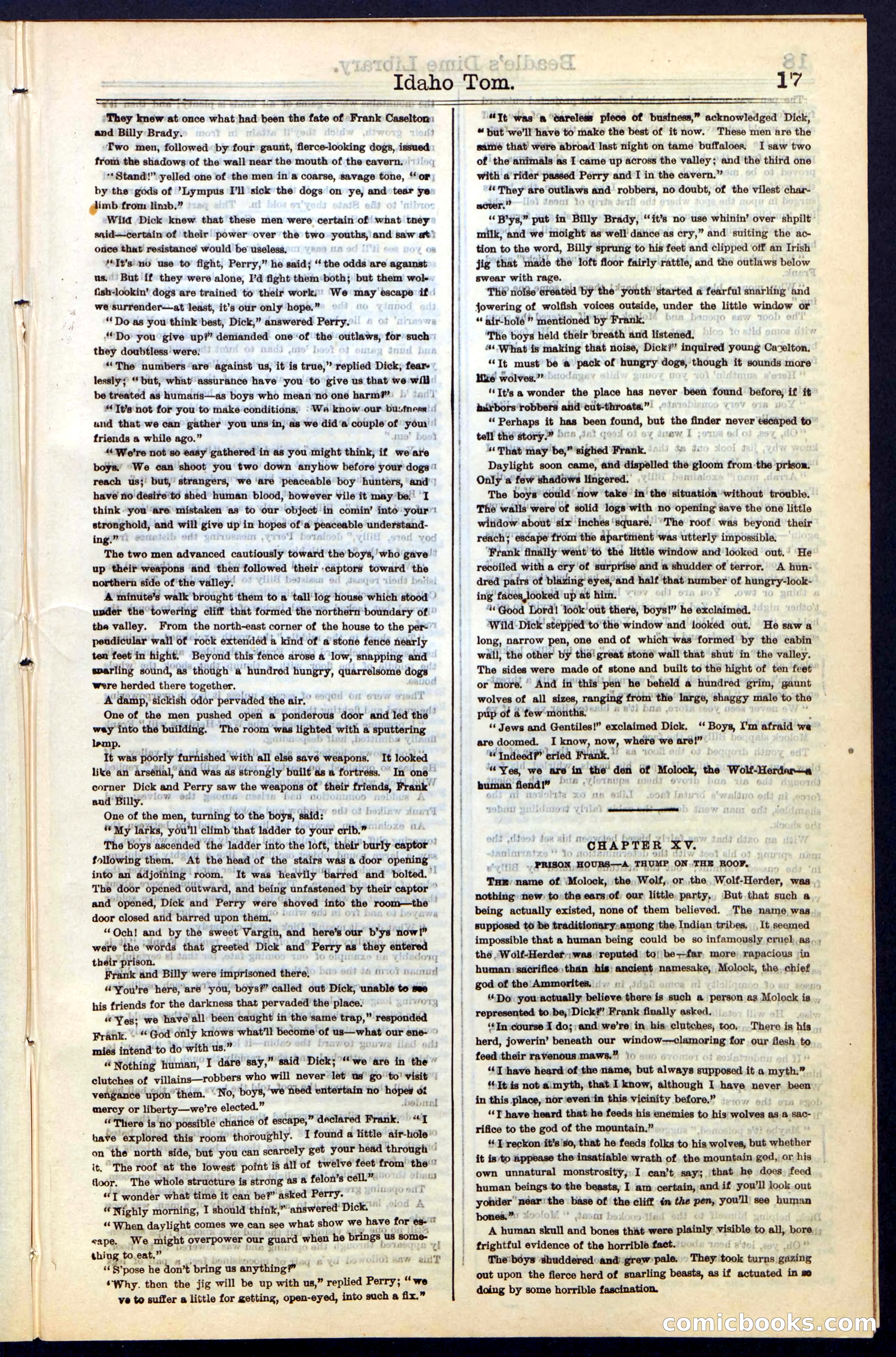 Beadle's New York Dime Library, No. 48 — page 17 of 40