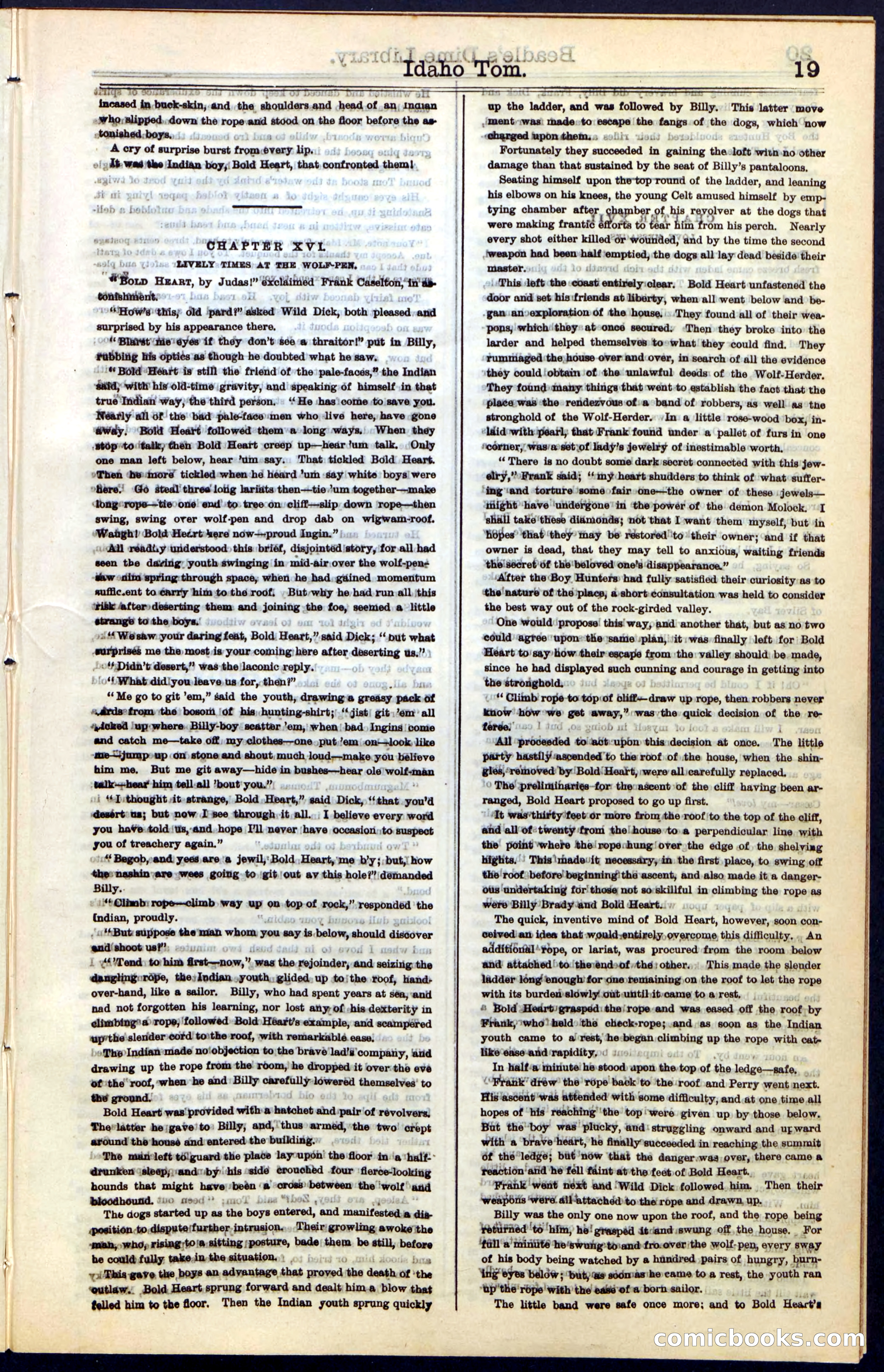 Beadle's New York Dime Library, No. 48 — page 19 of 40