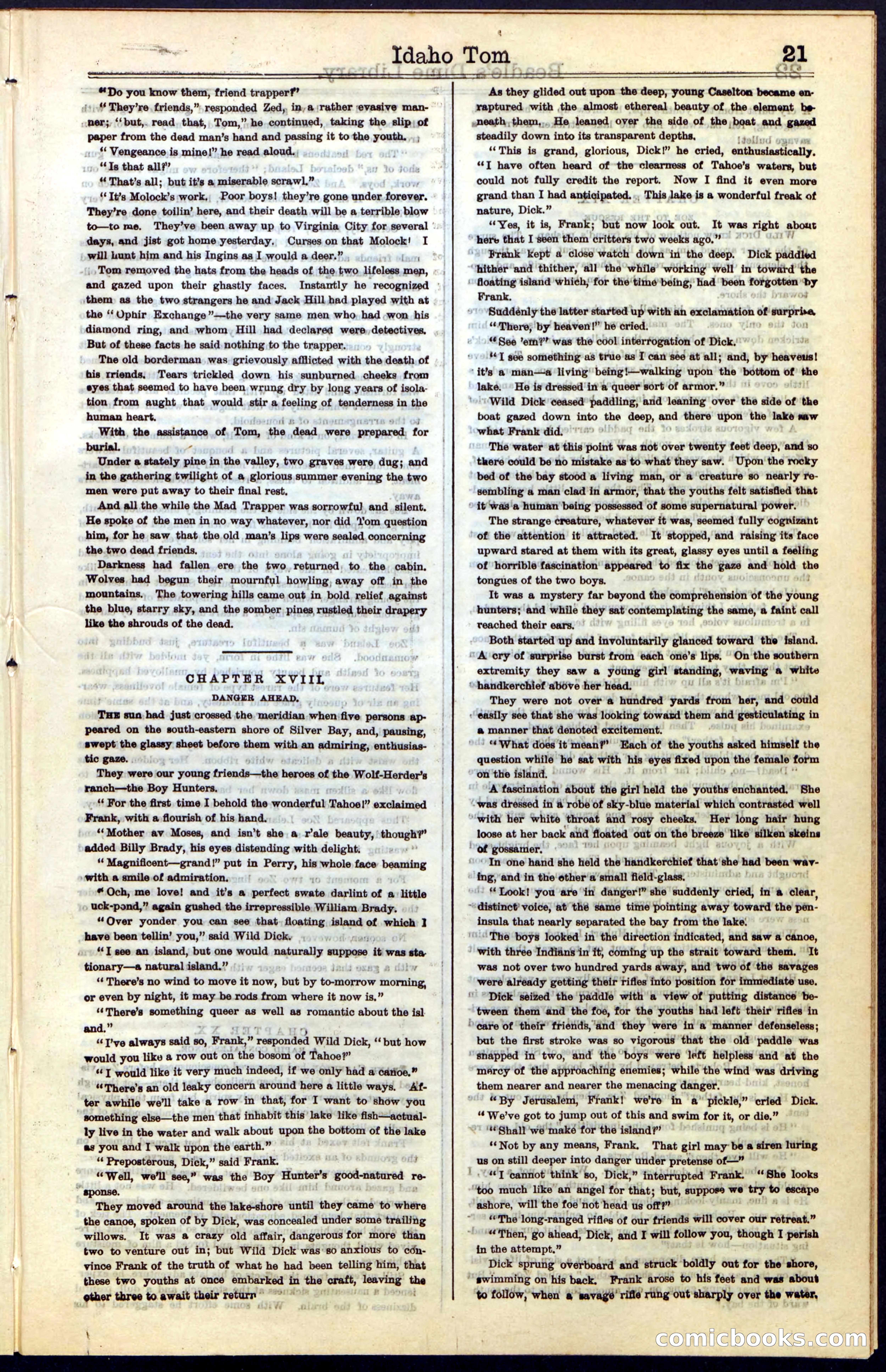 Beadle's New York Dime Library, No. 48 — page 21 of 40