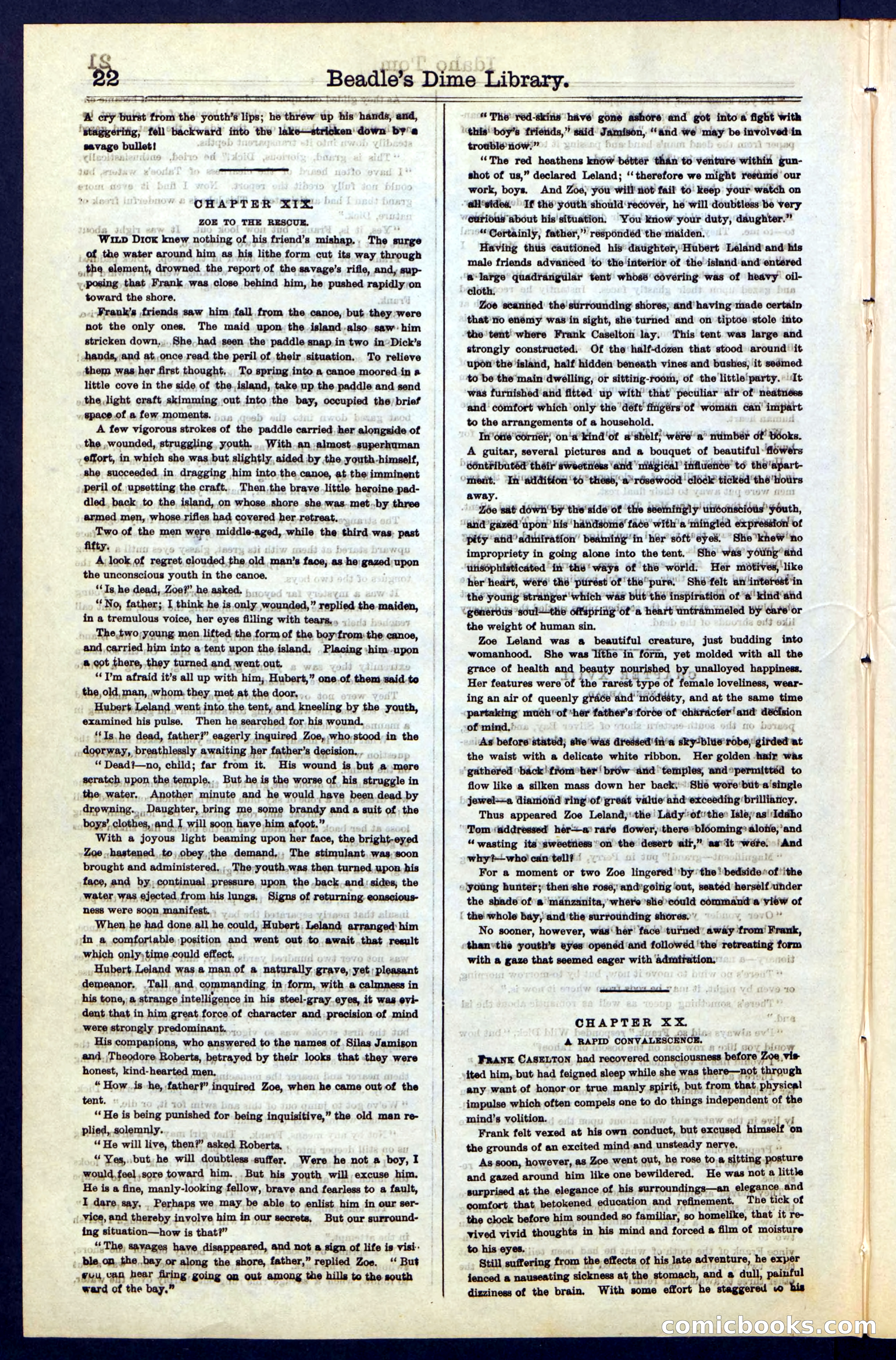 Beadle's New York Dime Library, No. 48 — page 22 of 40