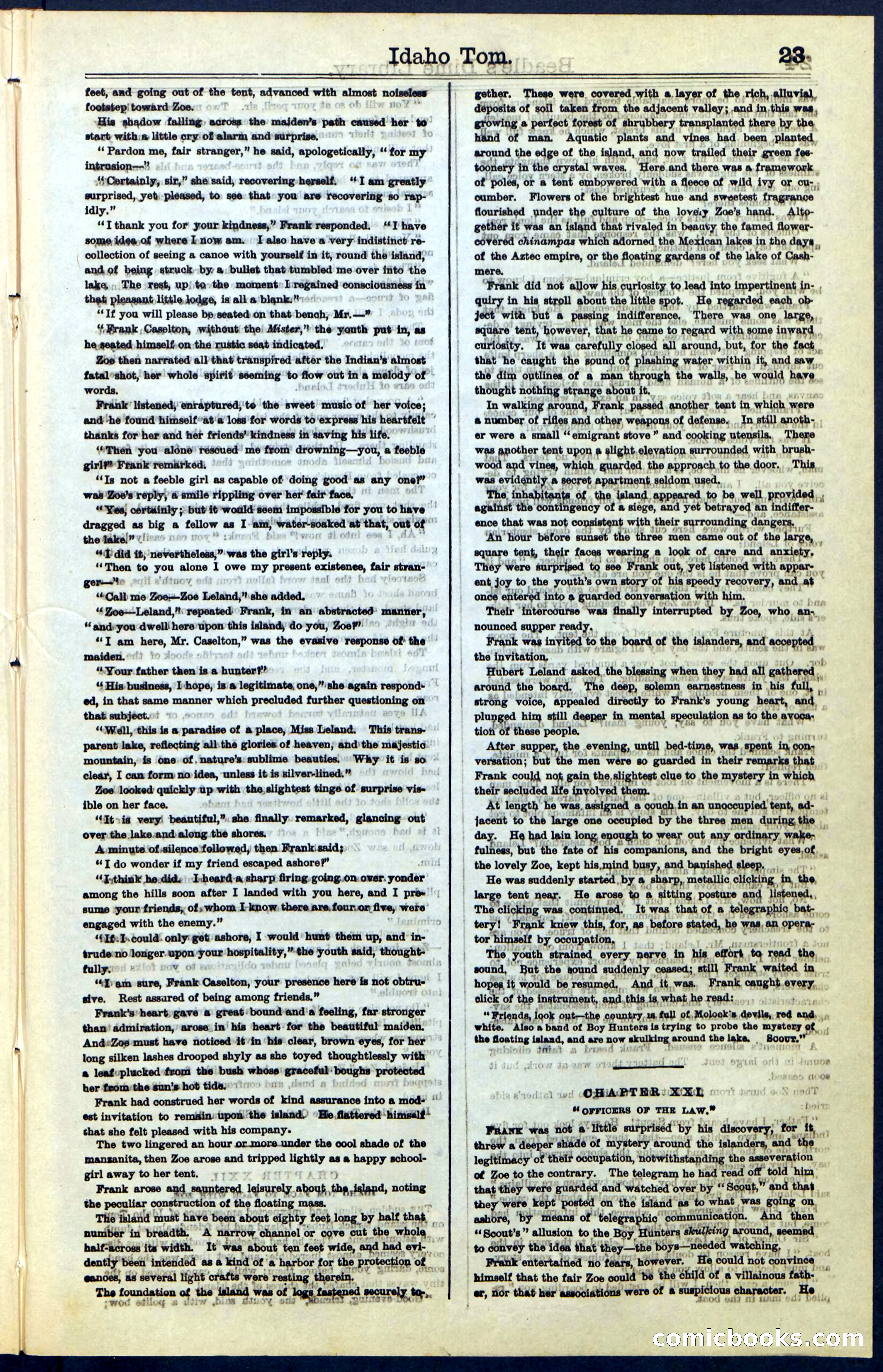 Beadle's New York Dime Library, No. 48 — page 23 of 40
