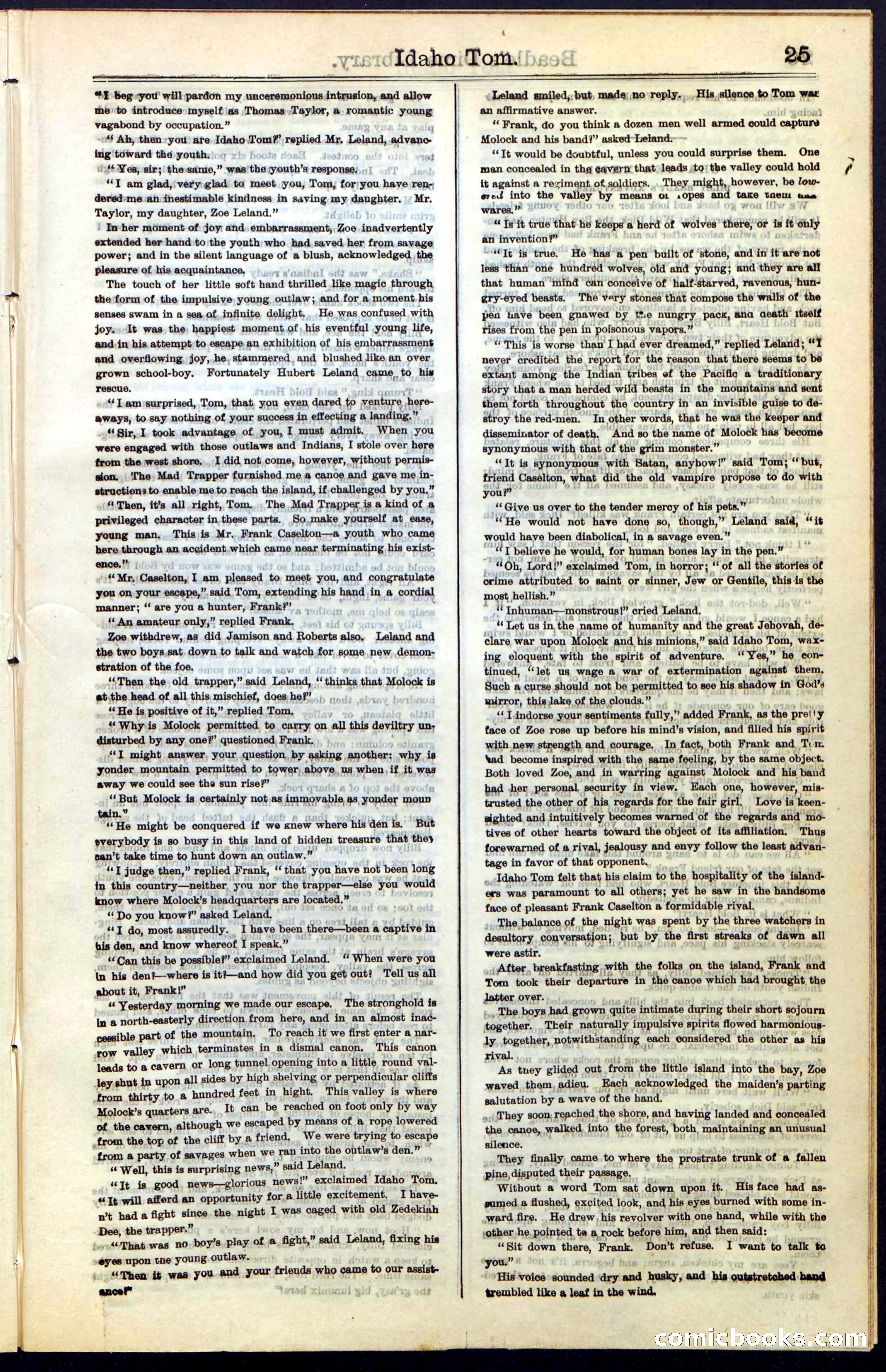 Beadle's New York Dime Library, No. 48 — page 25 of 40