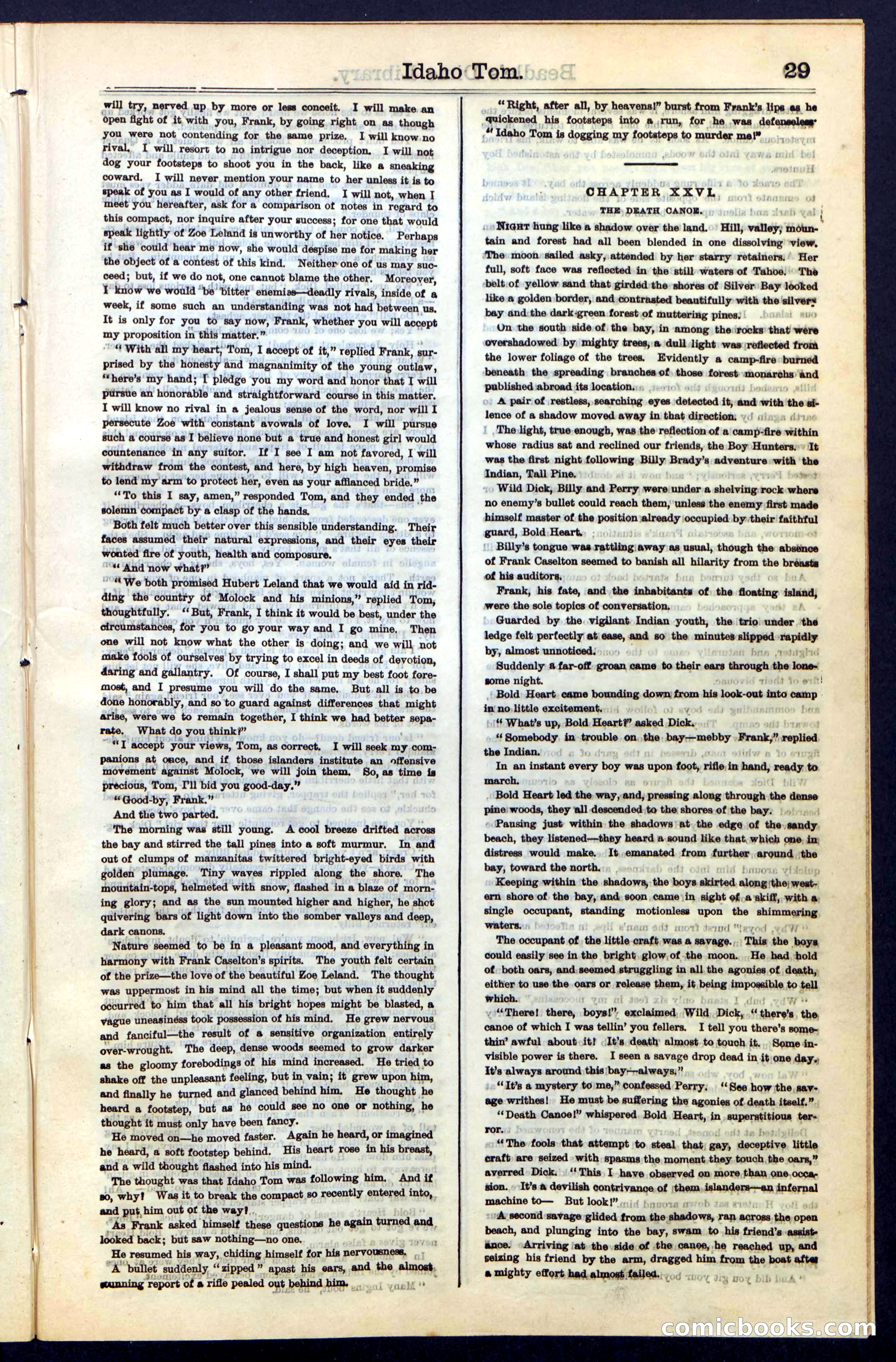 Beadle's New York Dime Library, No. 48 — page 29 of 40