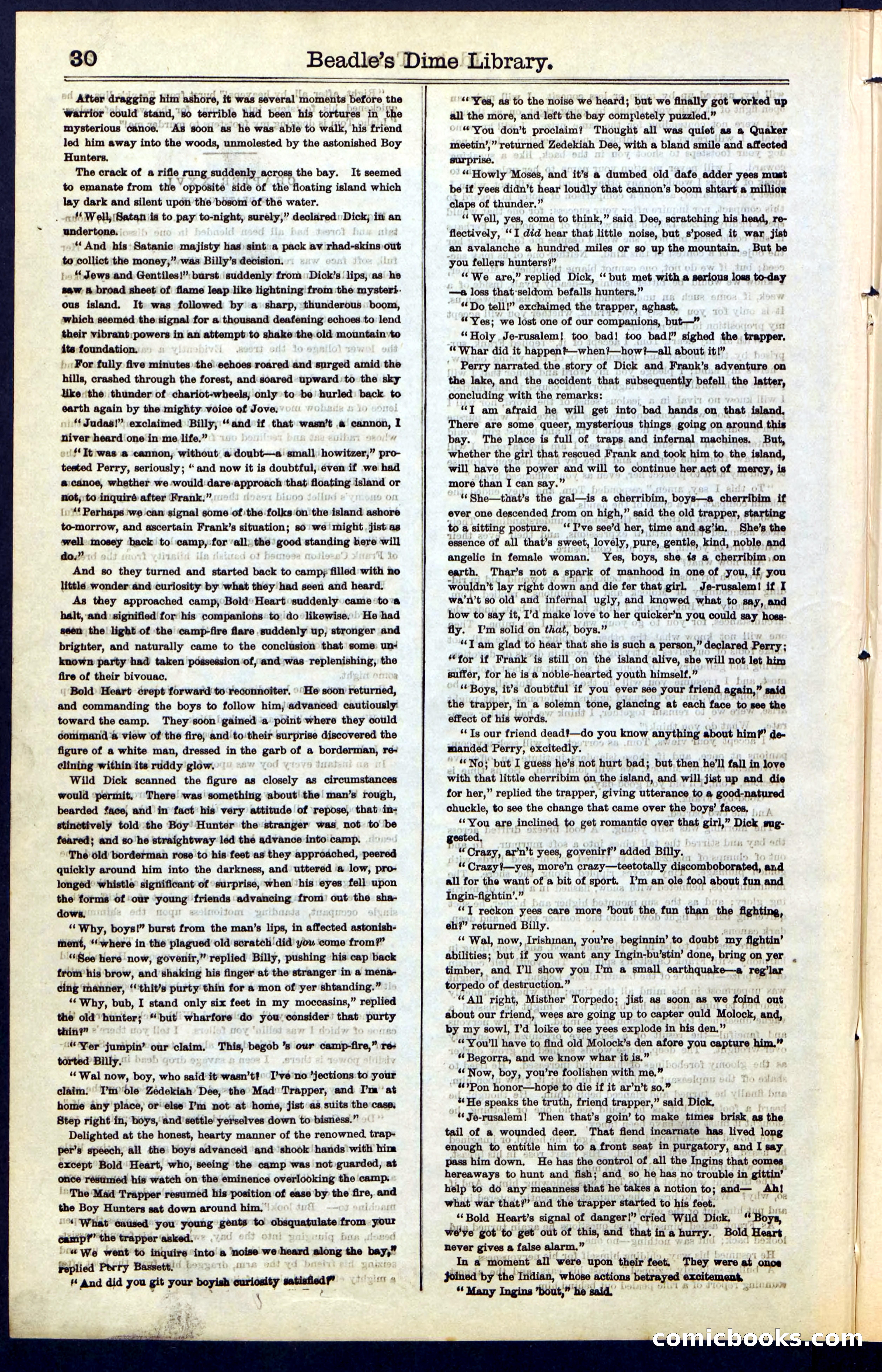 Beadle's New York Dime Library, No. 48 — page 30 of 40