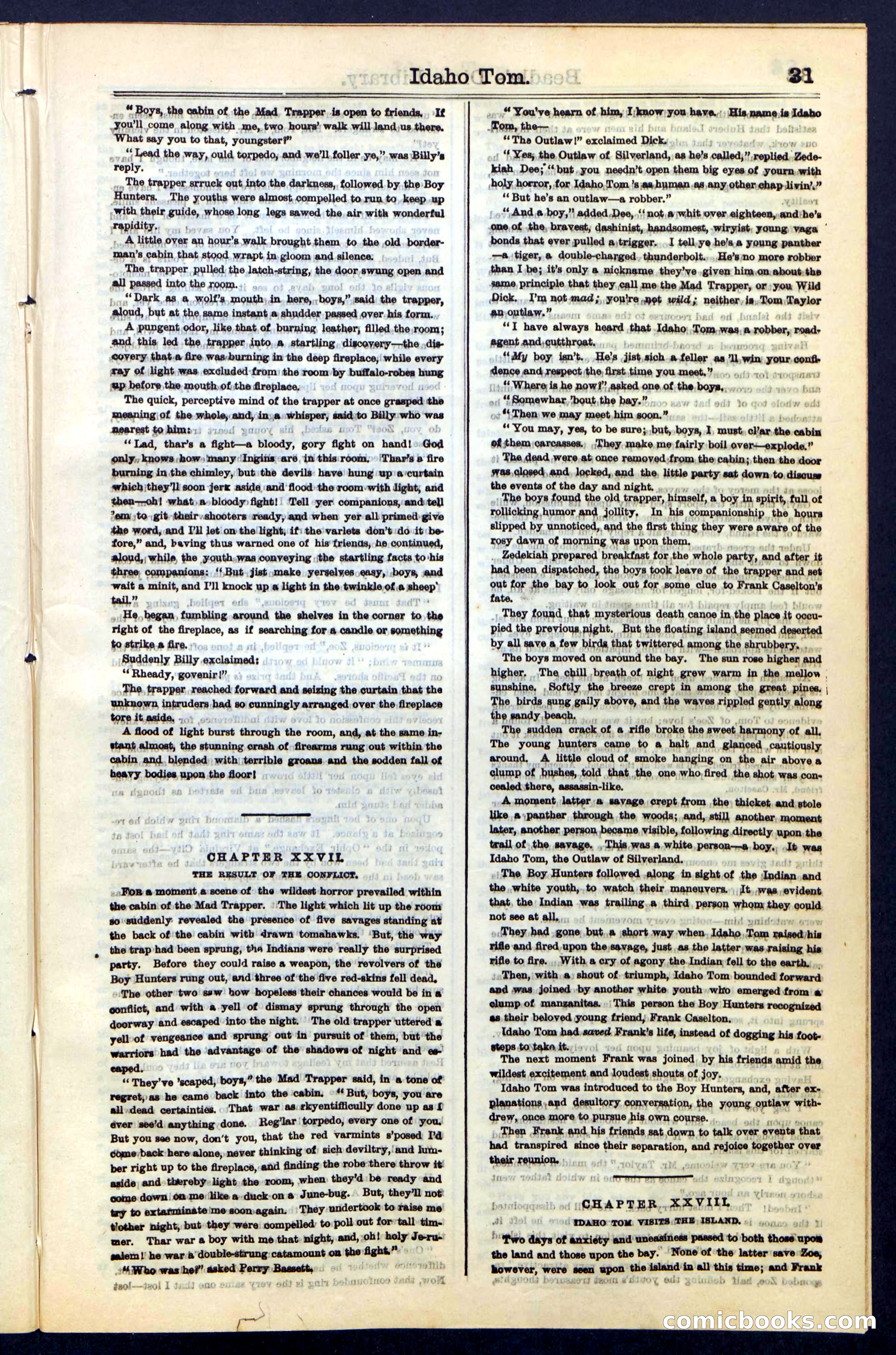 Beadle's New York Dime Library, No. 48 — page 31 of 40