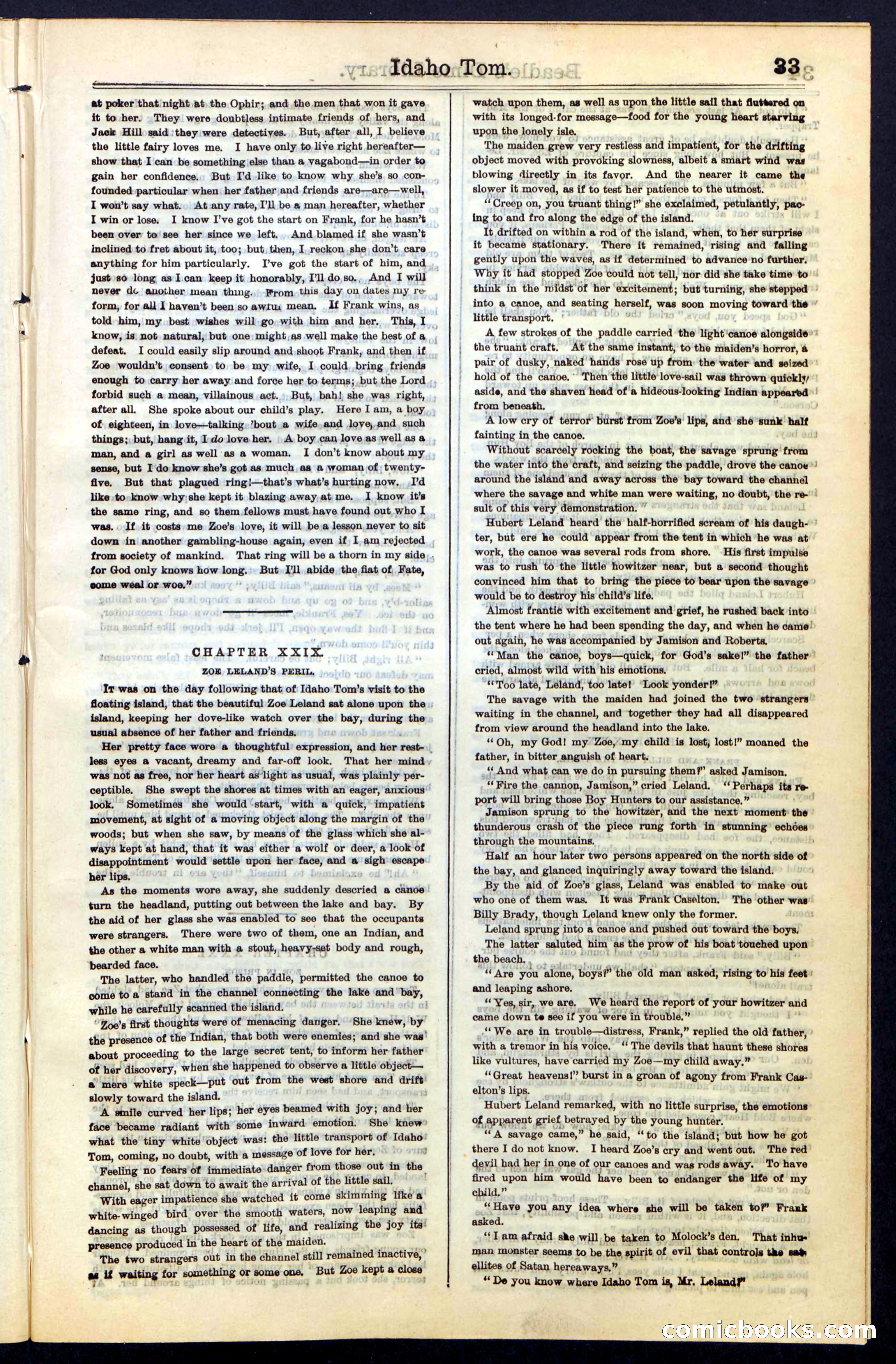 Beadle's New York Dime Library, No. 48 — page 33 of 40