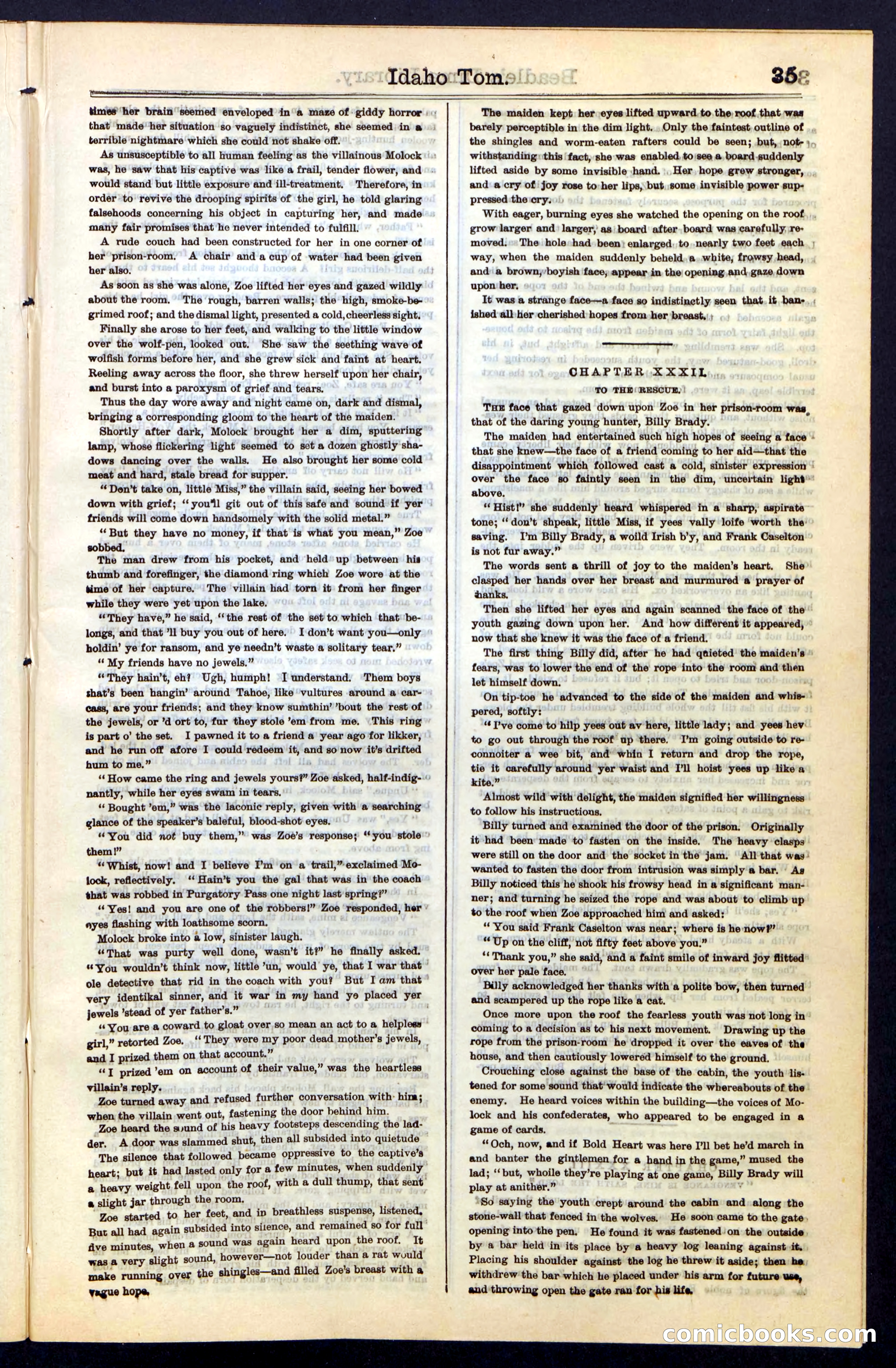 Beadle's New York Dime Library, No. 48 — page 35 of 40