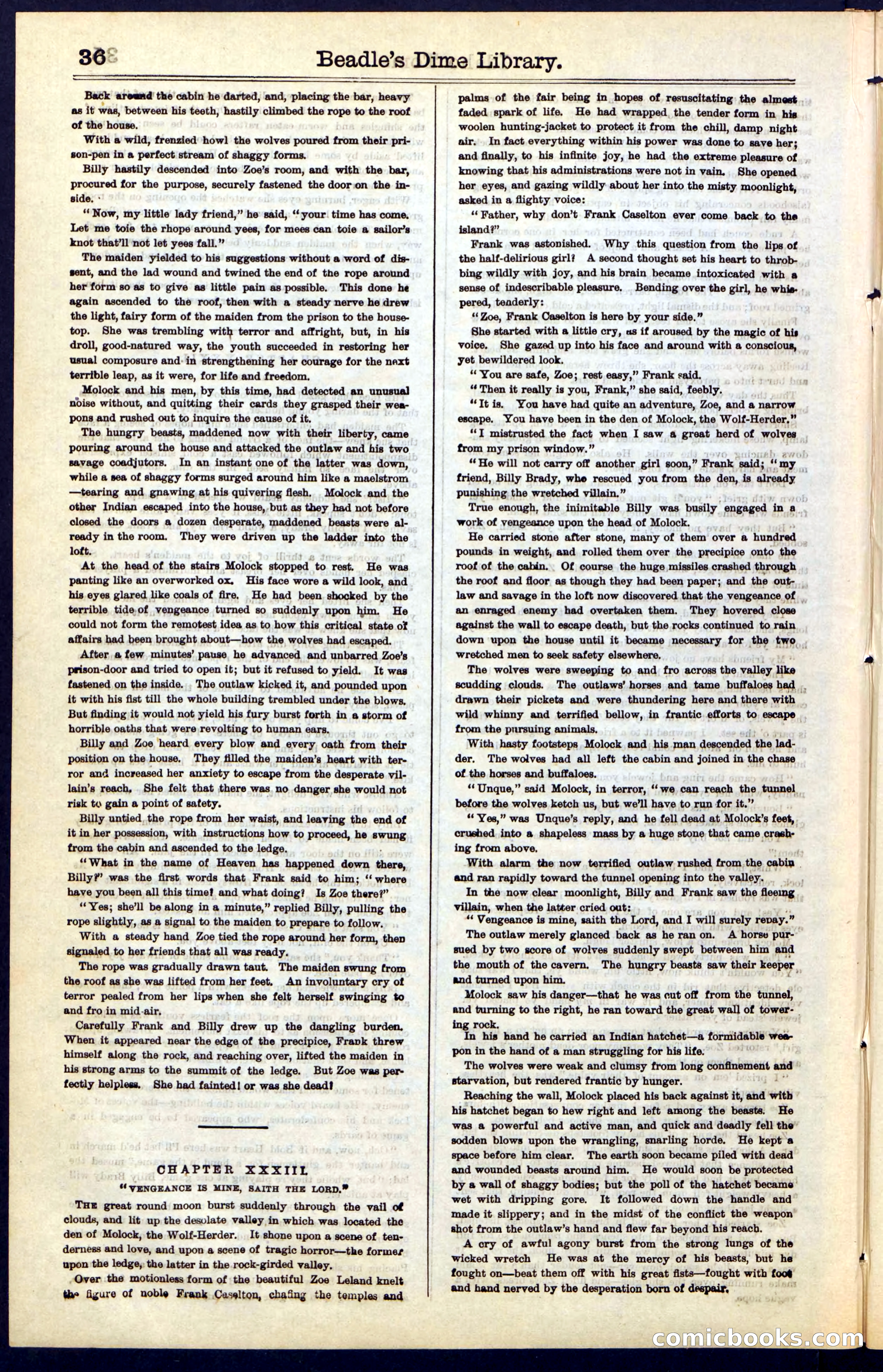 Beadle's New York Dime Library, No. 48 — page 36 of 40