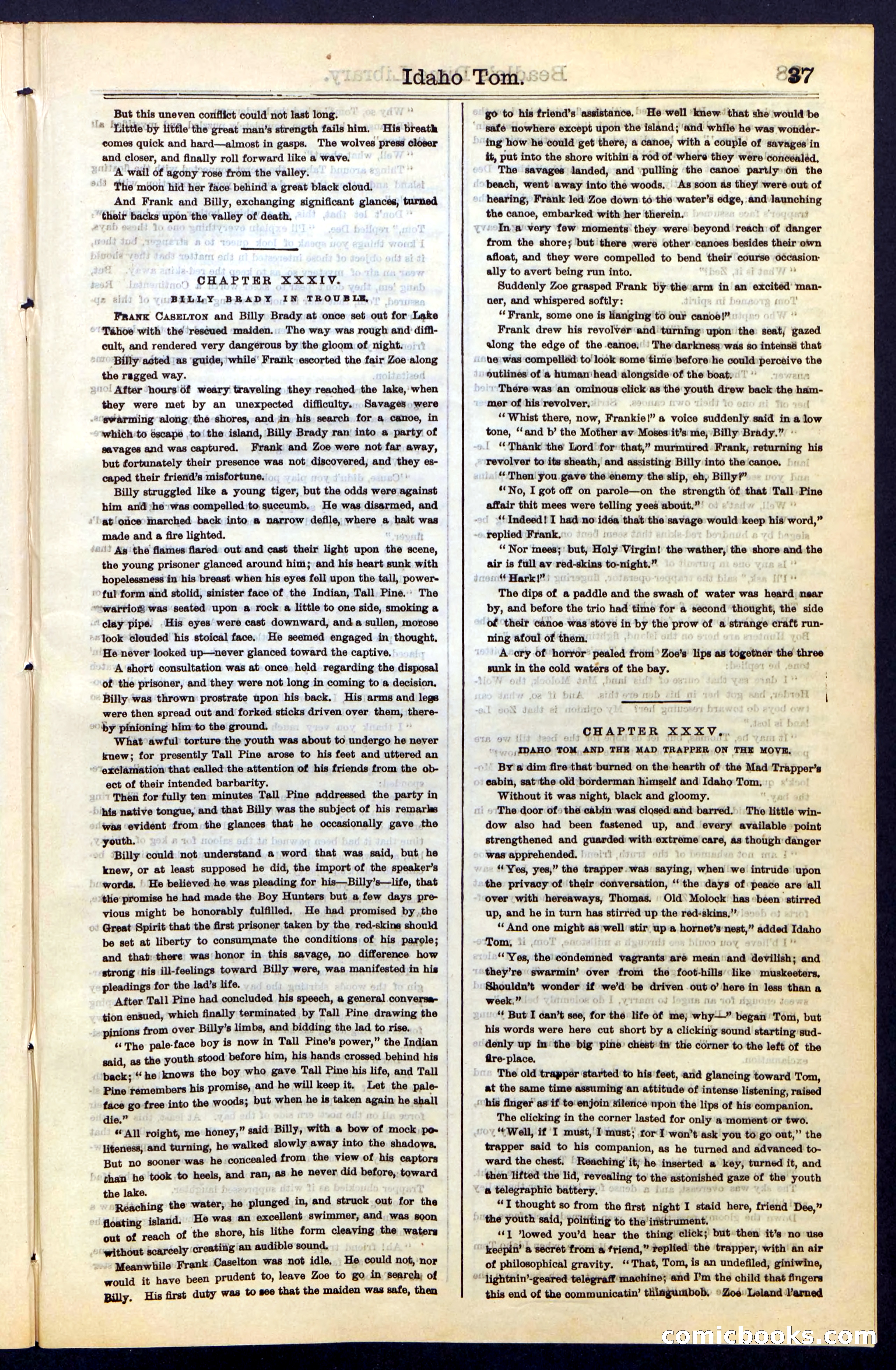 Beadle's New York Dime Library, No. 48 — page 37 of 40