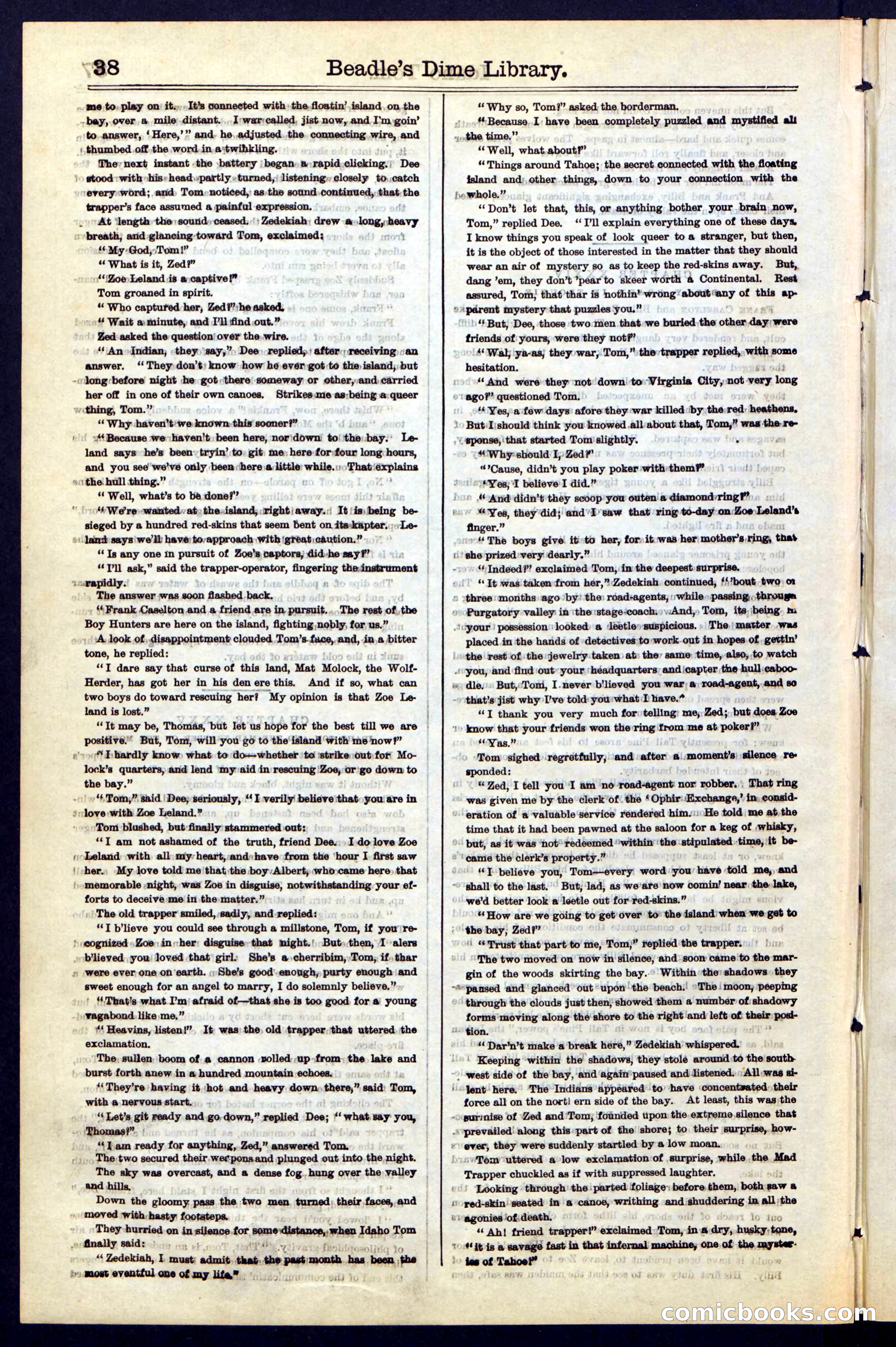 Beadle's New York Dime Library, No. 48 — page 38 of 40