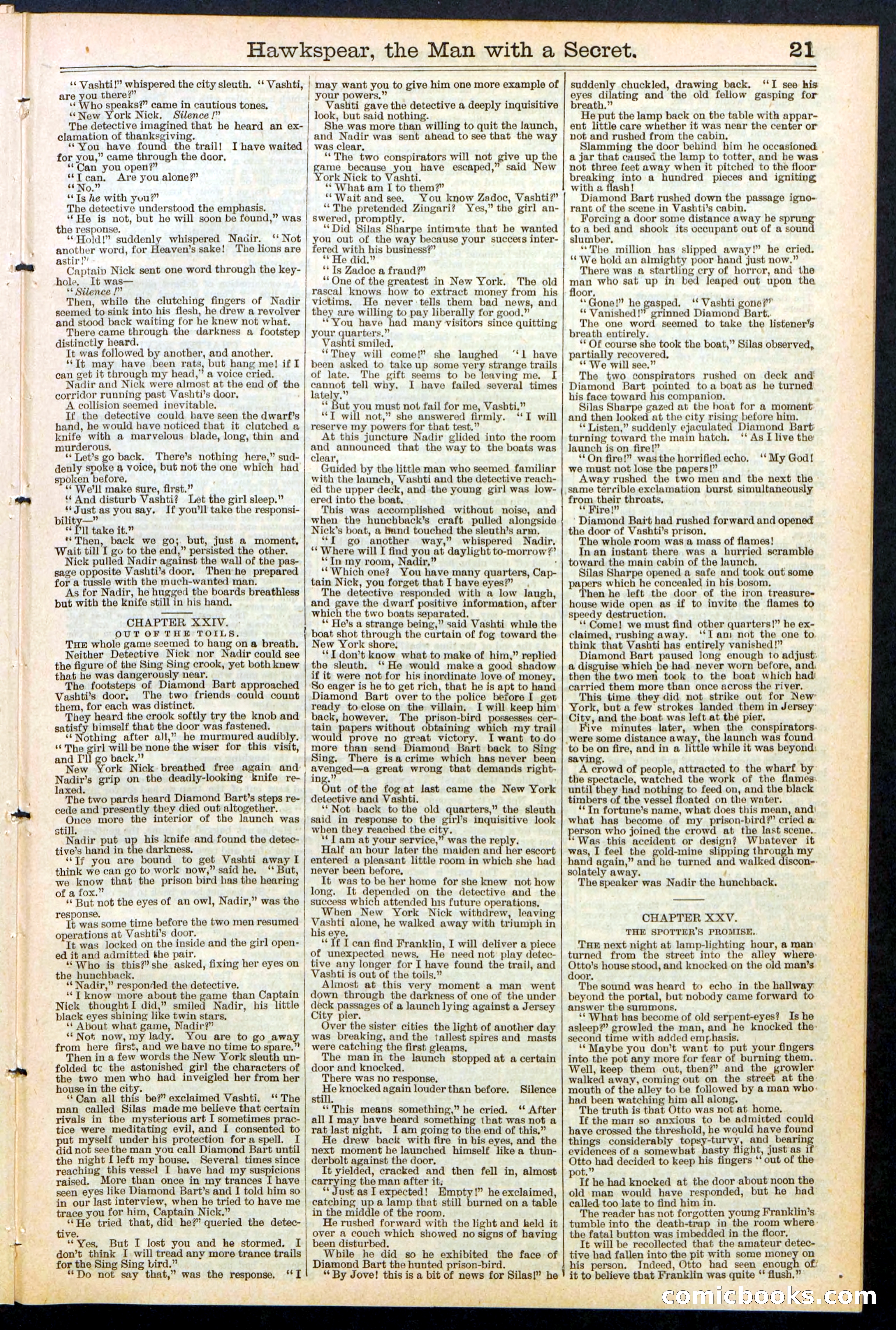 Beadle's New York Dime Library No. 480 — page 21 of 32